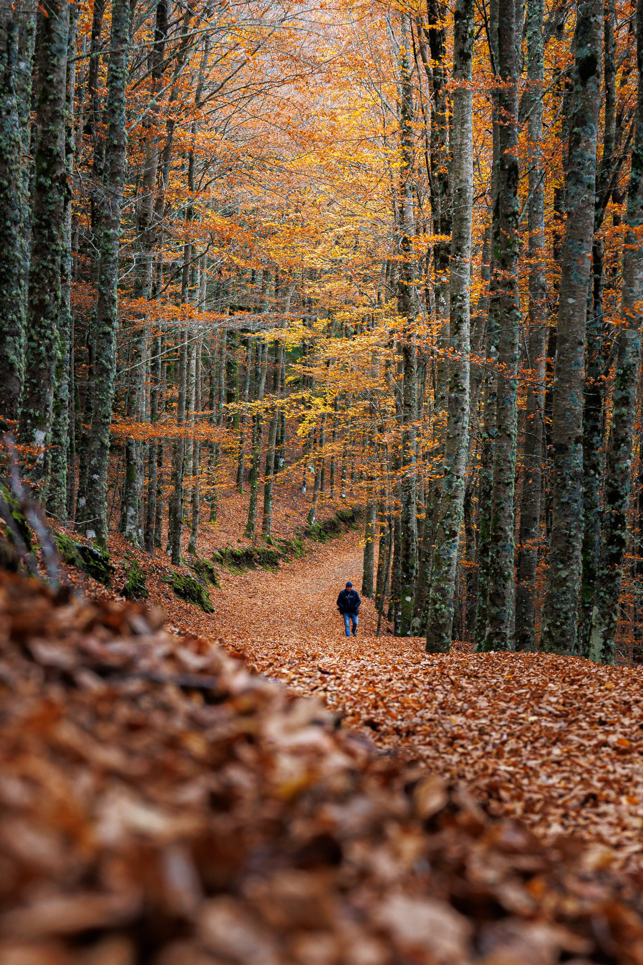 Fotografia de Natureza – Portfólio | Paulo Marques Photography. Paulo Marques Photography