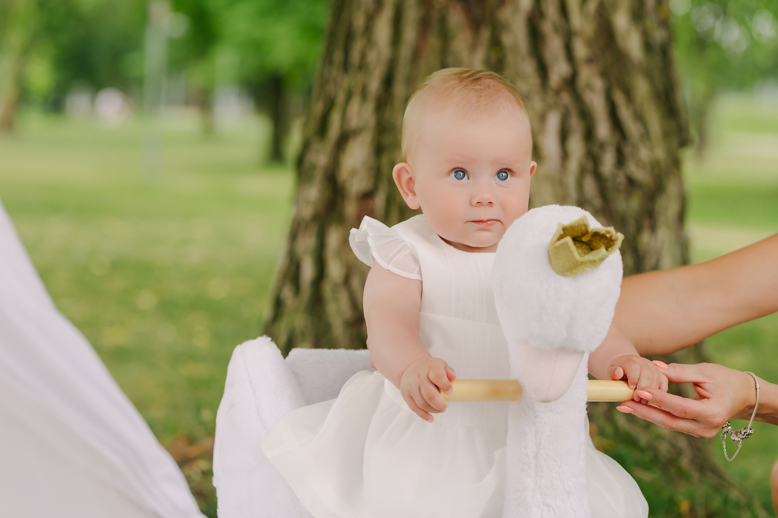 Saulės krikštas. Rokas Baranauskas fotografija