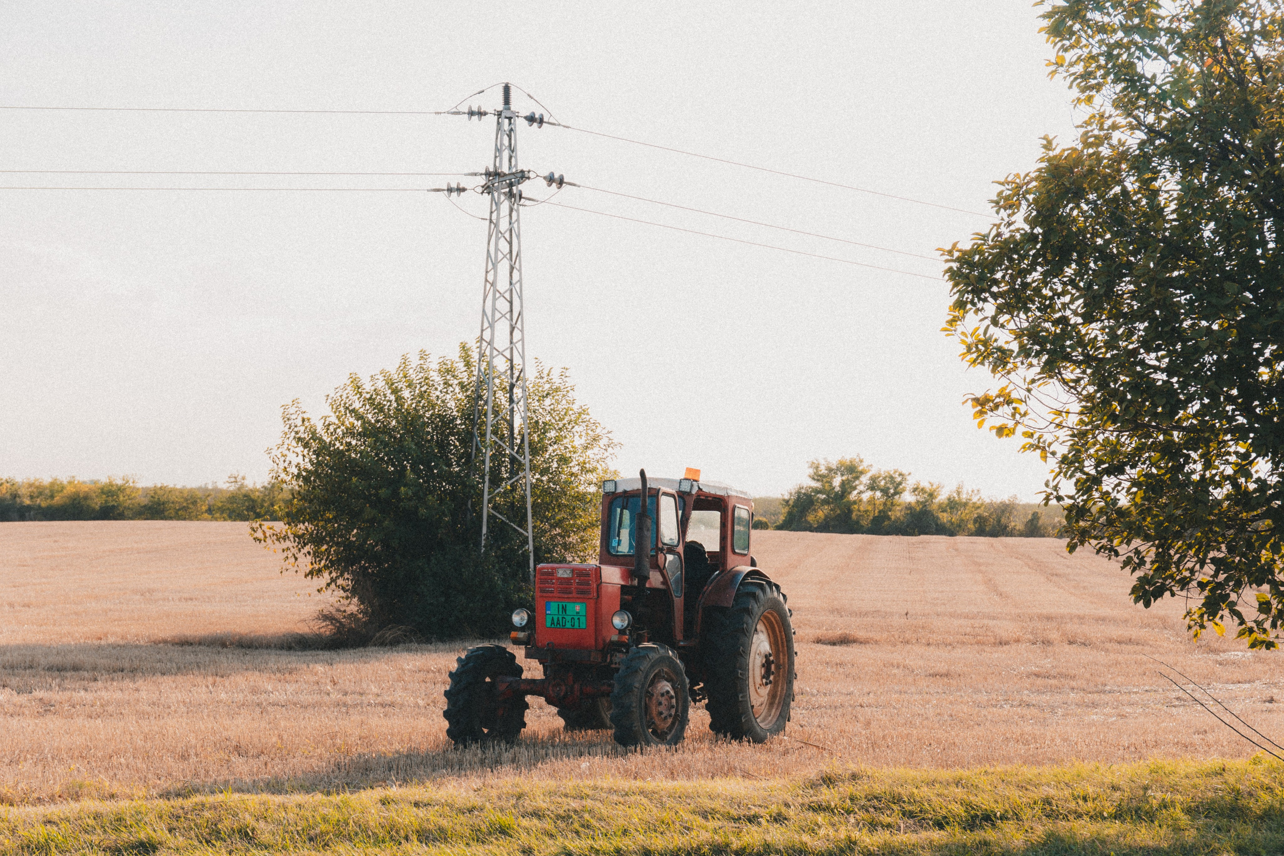 BetBoom. Фотограф Инна Гайнулина