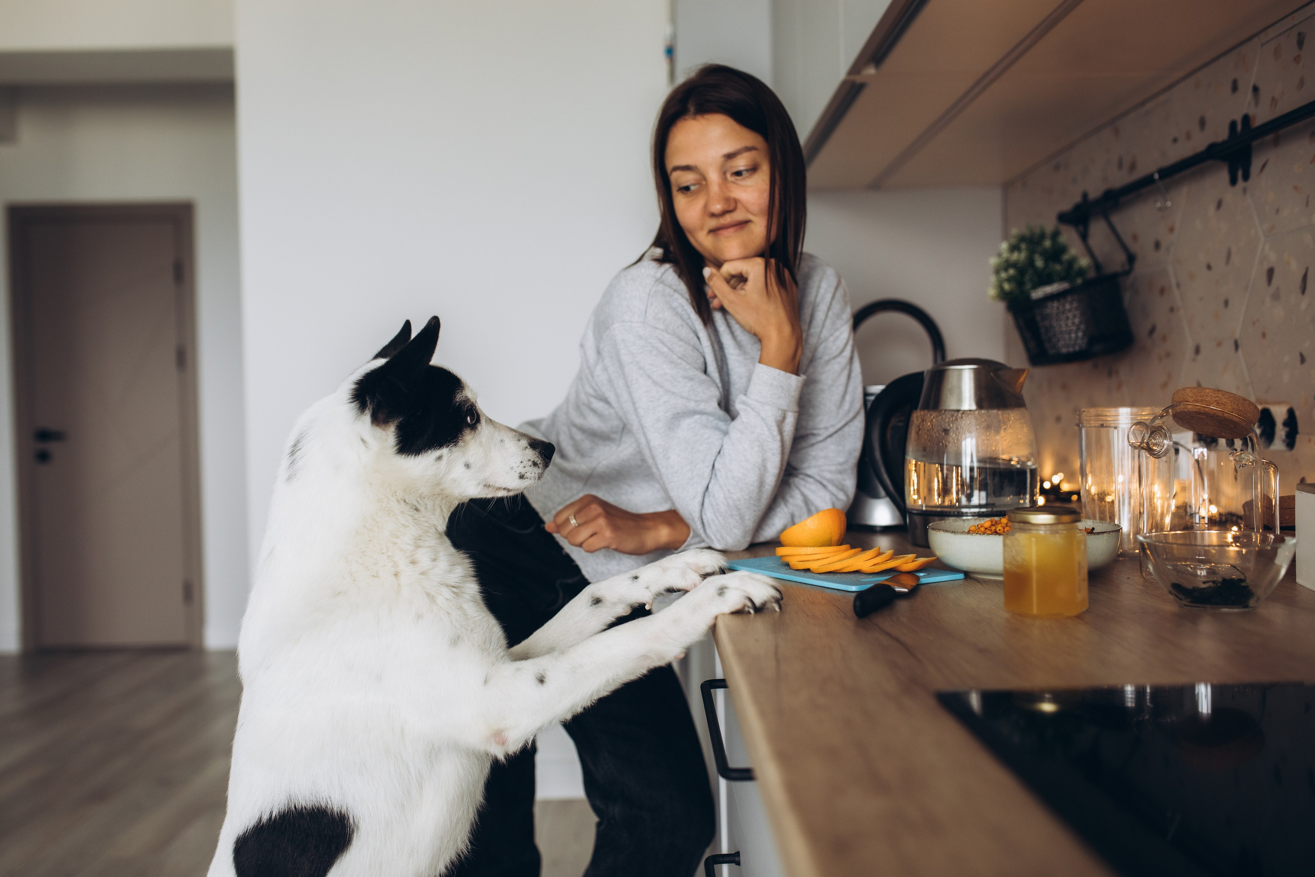 Kate&Tesla. Семейный фотограф в Кишинёве Пулькина Ольга