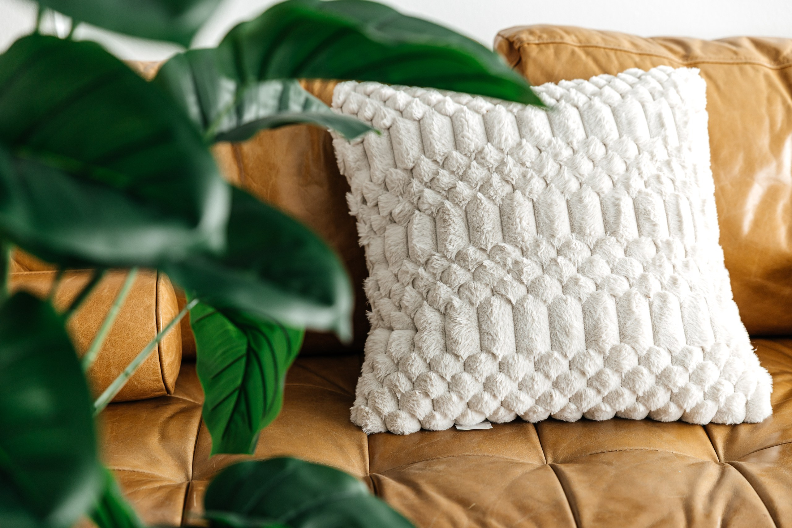 Swanky Apartments. Photographer Andrei White