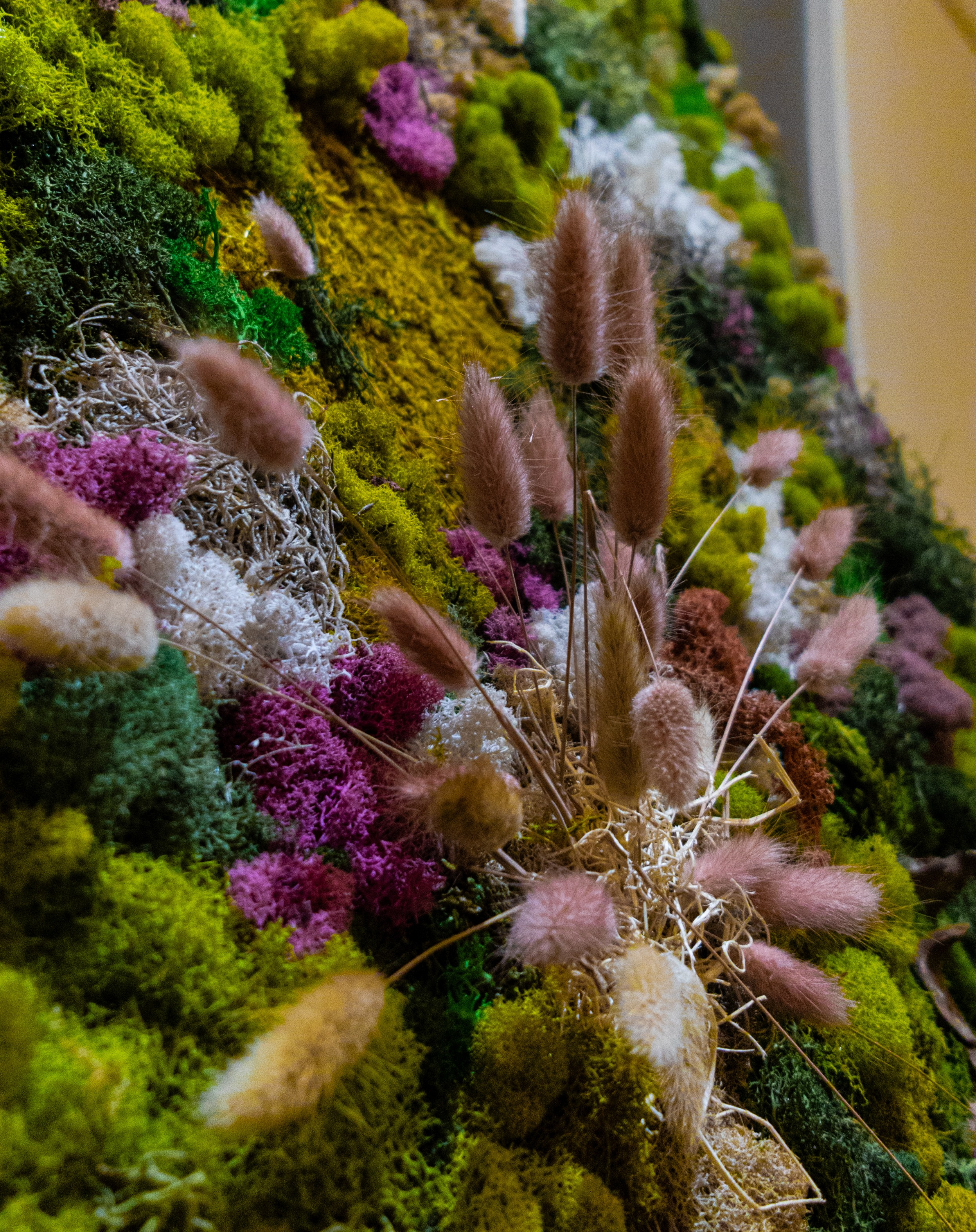 Anna & Moss magic, Content. Yana Bobrova | Artistic Photography