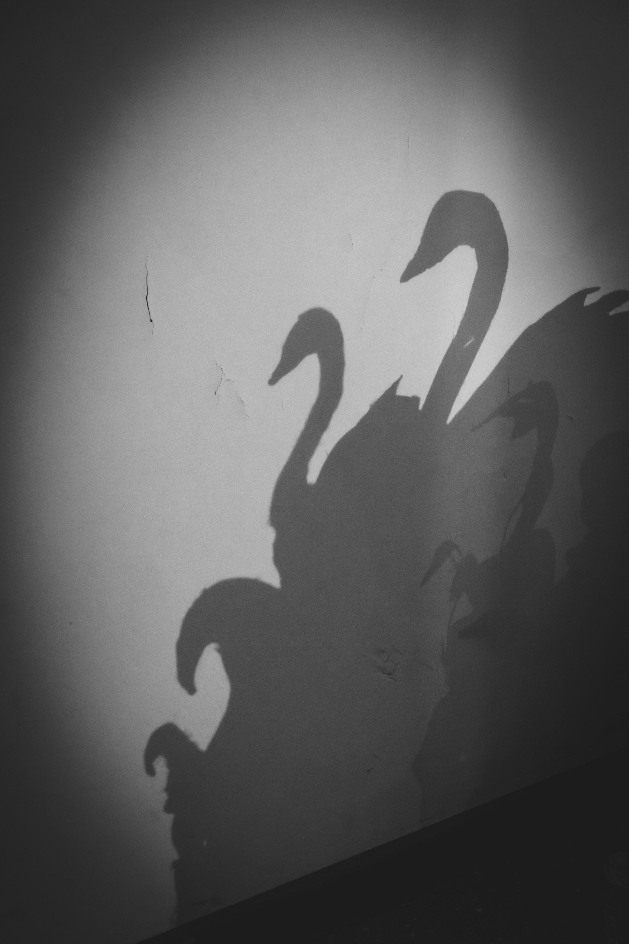 Puhkus Peterburis (Ermitaaž, Shadow muuseum, Grand Maket Venemaa, ArtMuza). Nebula 25 — Fotod teie hingele