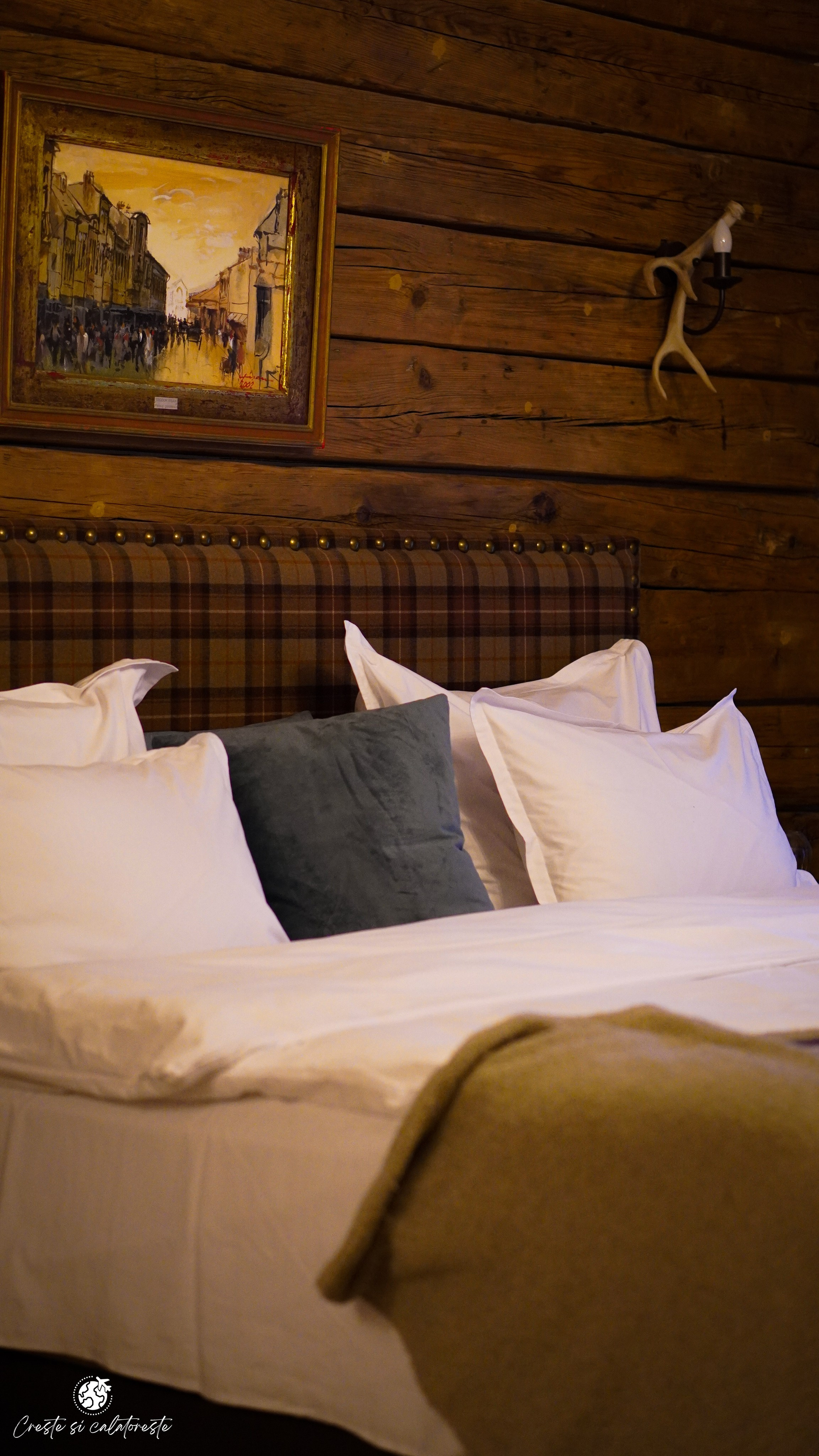 Bransilvania. Creste si calatoreste