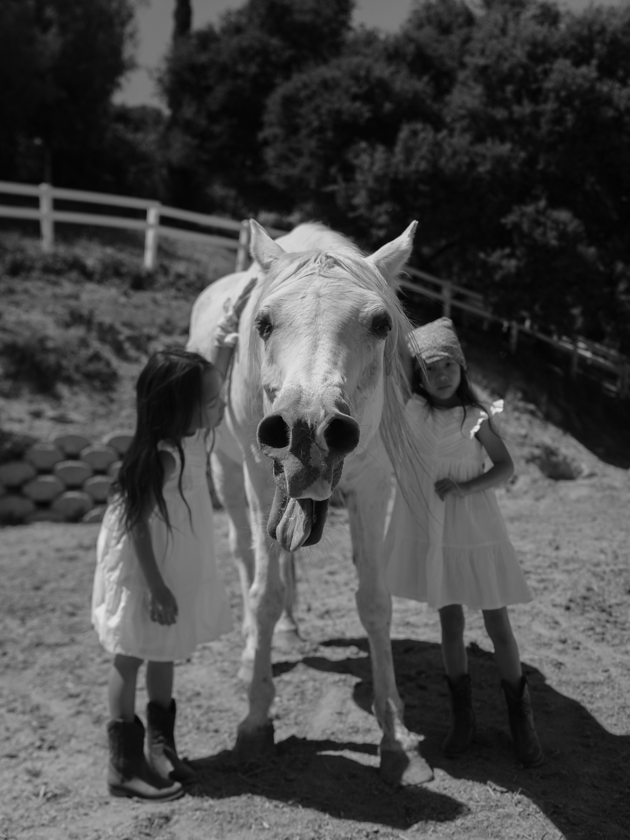 Children with horses. Фотограф и видеограф в США (и по всему миру) — Татьяна Иванова