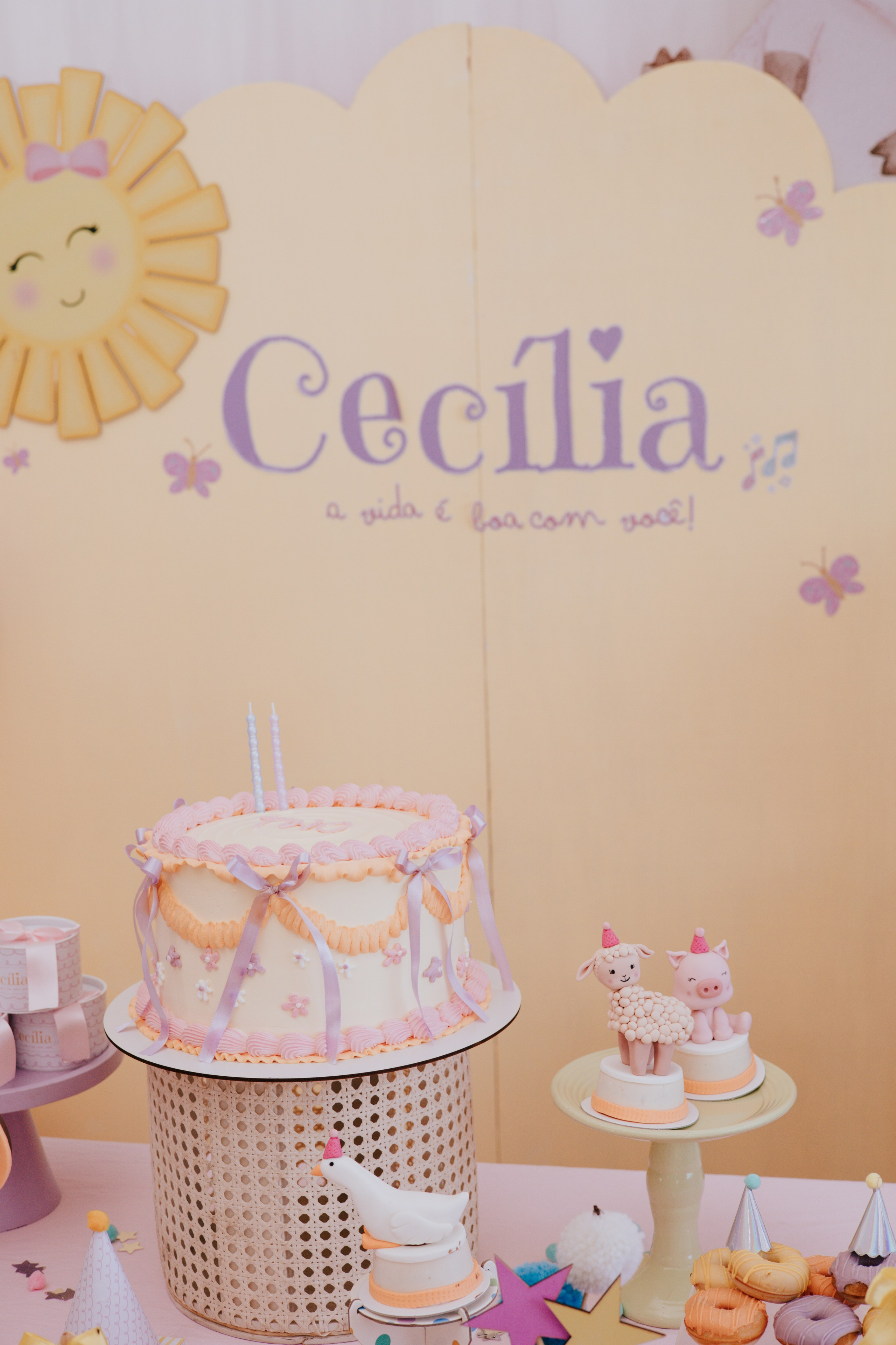 Cecília 2 anos. Fotografia de família e parto