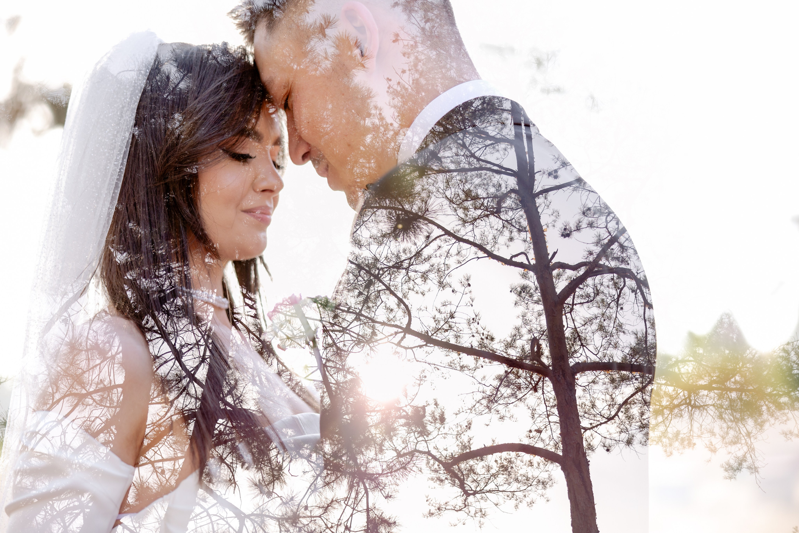 Corneliu & Corina. ProWed — Foto Video Moldova