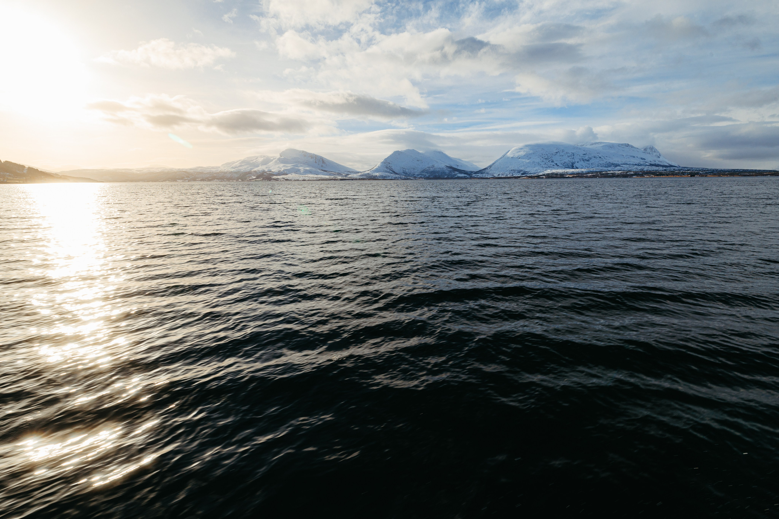Tromso. Marius Ciocan