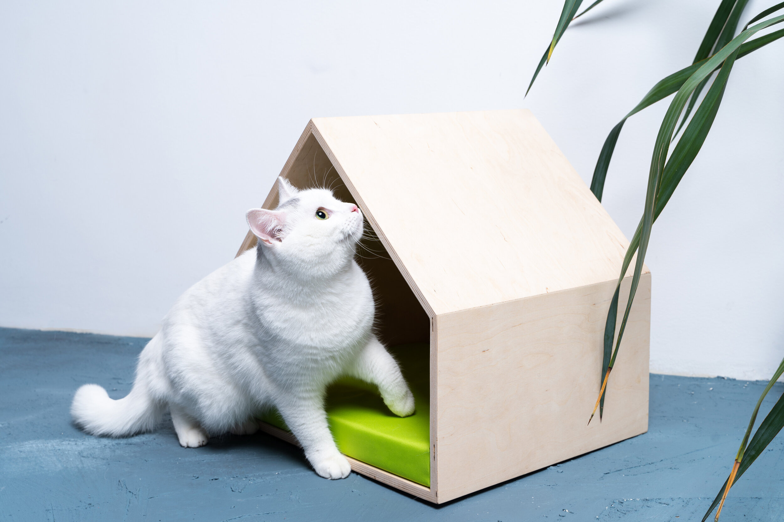 Produktų fotografavimas. Fotografas Jevgenijus Misevič — misevicphoto.com