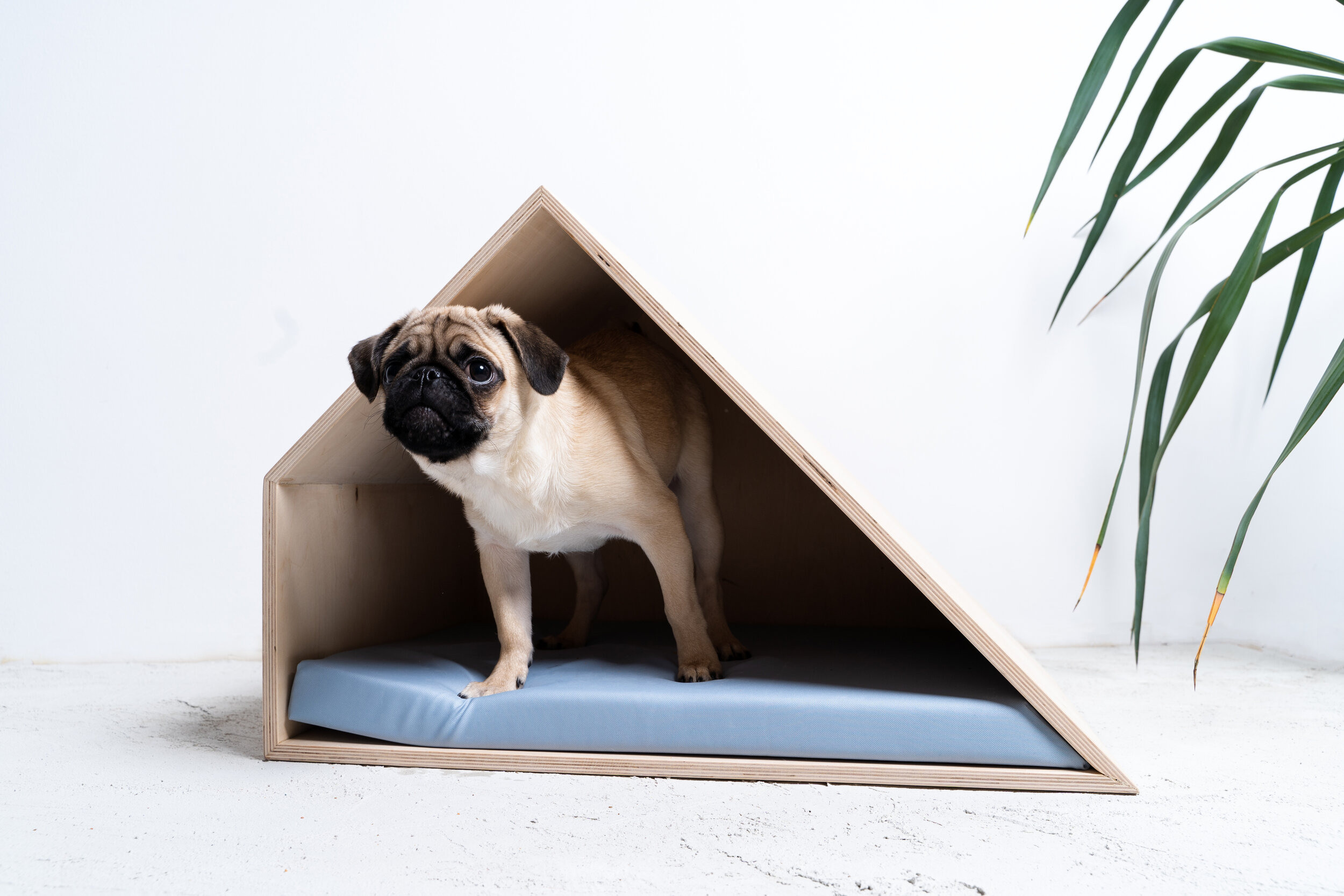 Produktų fotografavimas. Fotografas Jevgenijus Misevič — misevicphoto.com