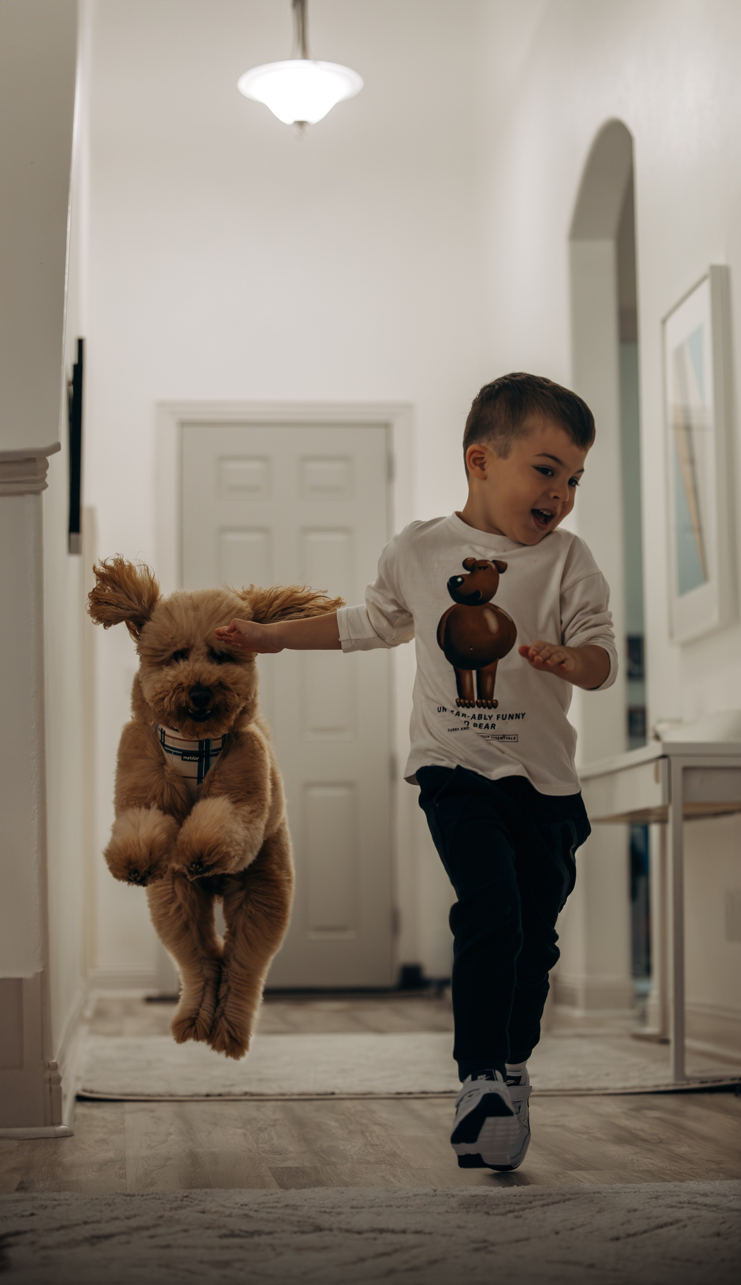 Richie & his Family. Pet Photographer Viktoriya Aleshenko