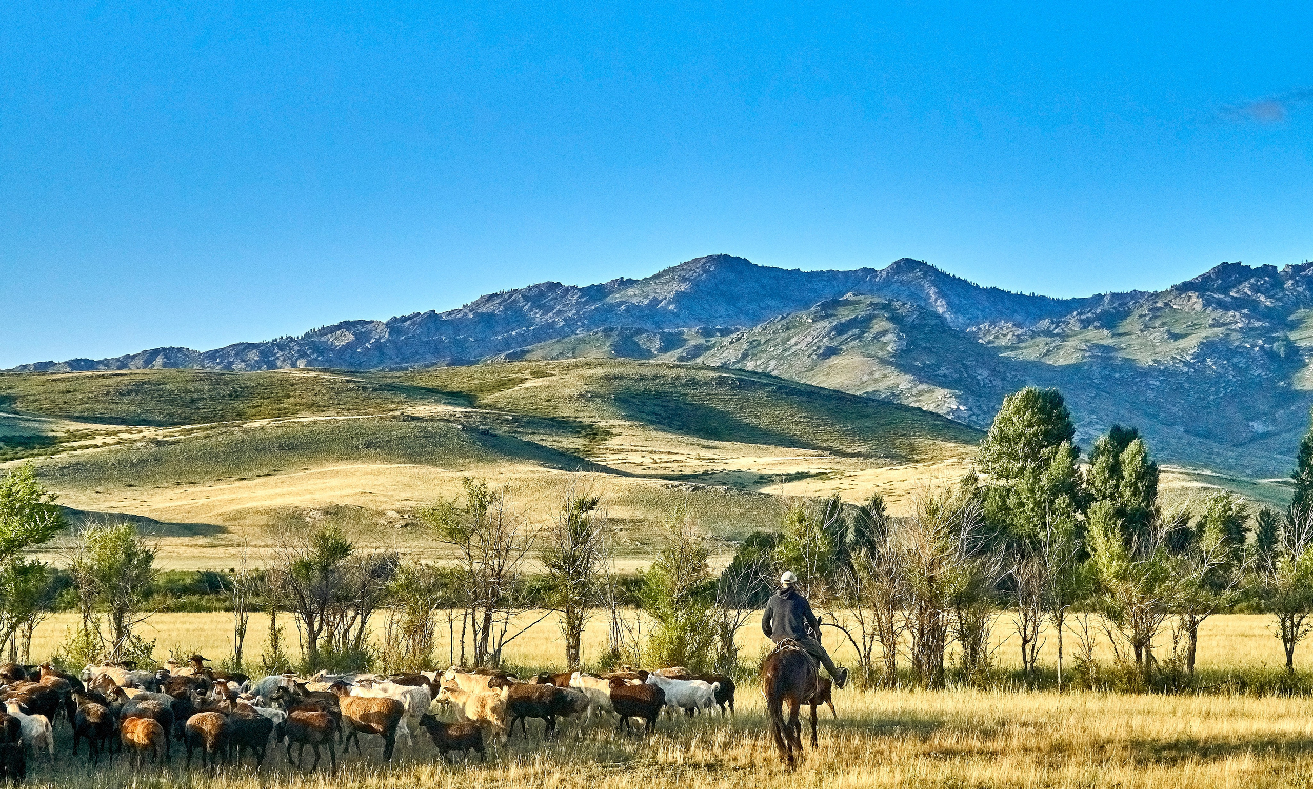 Сибины. Андрей Шипилов — Фотография & Видеография
