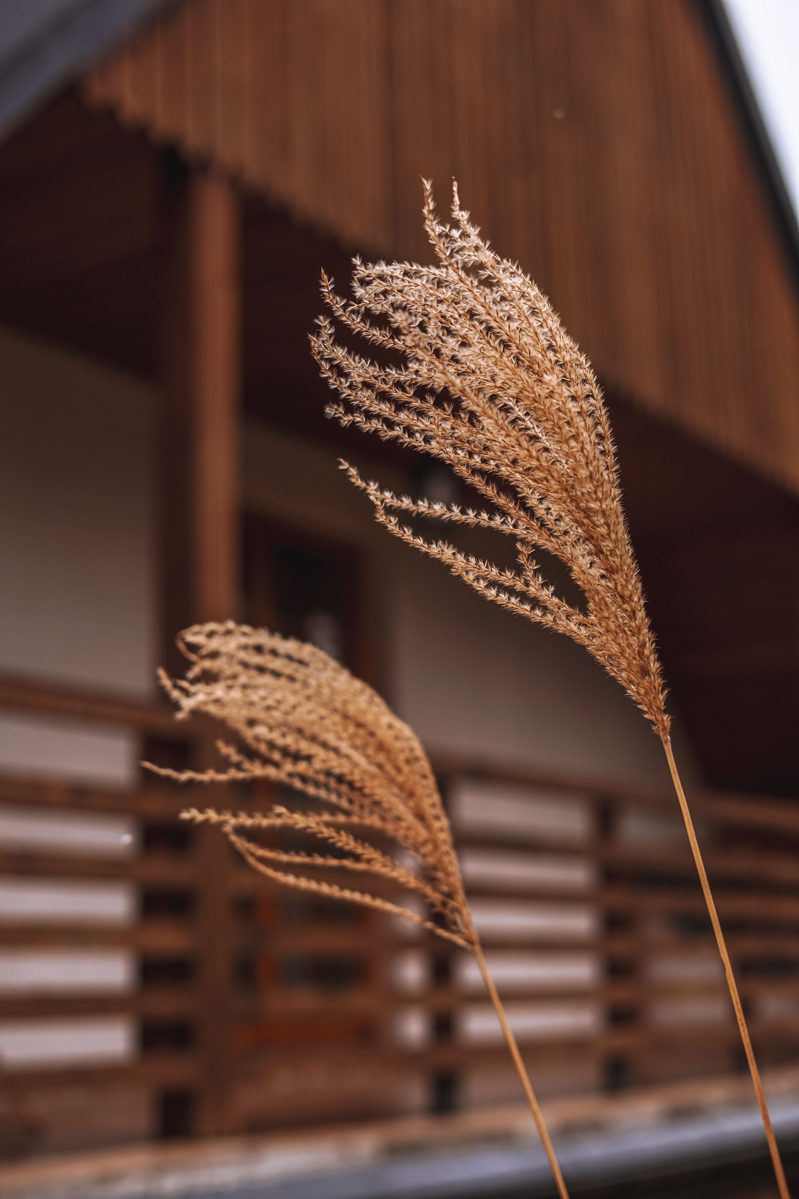 Poland Łubinowe Wzgórze. Hotel and travel photographer