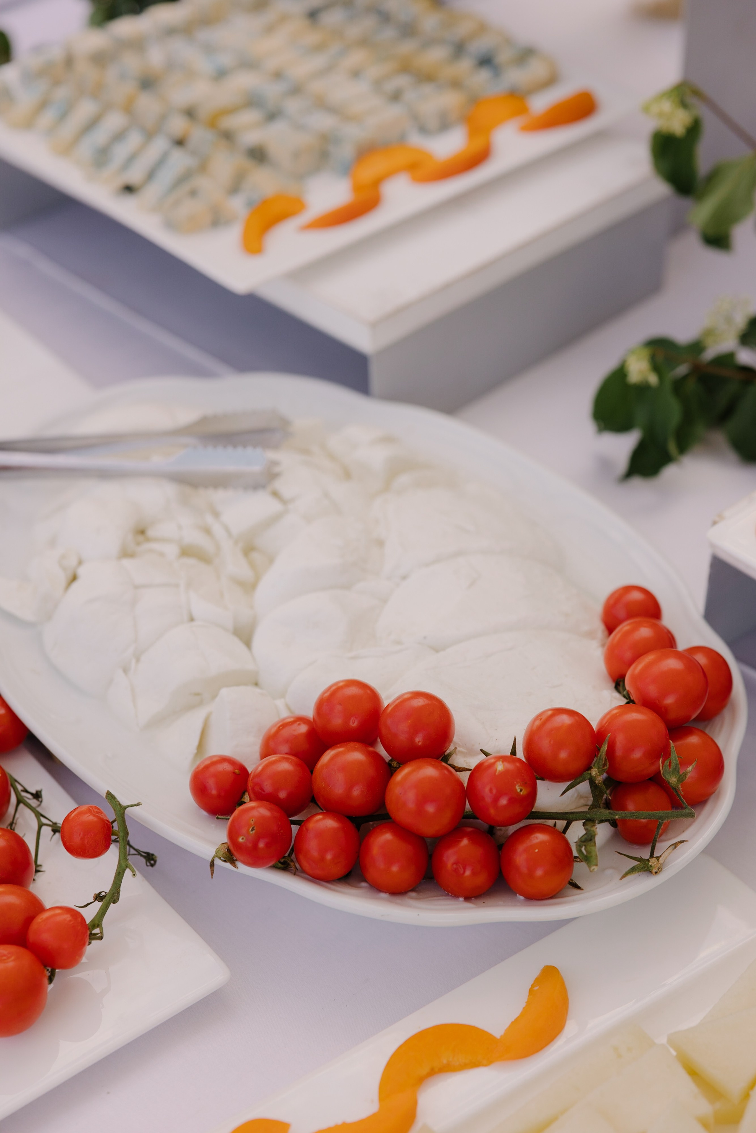 Fabio&Hanin digital. Wedding photographer Italy