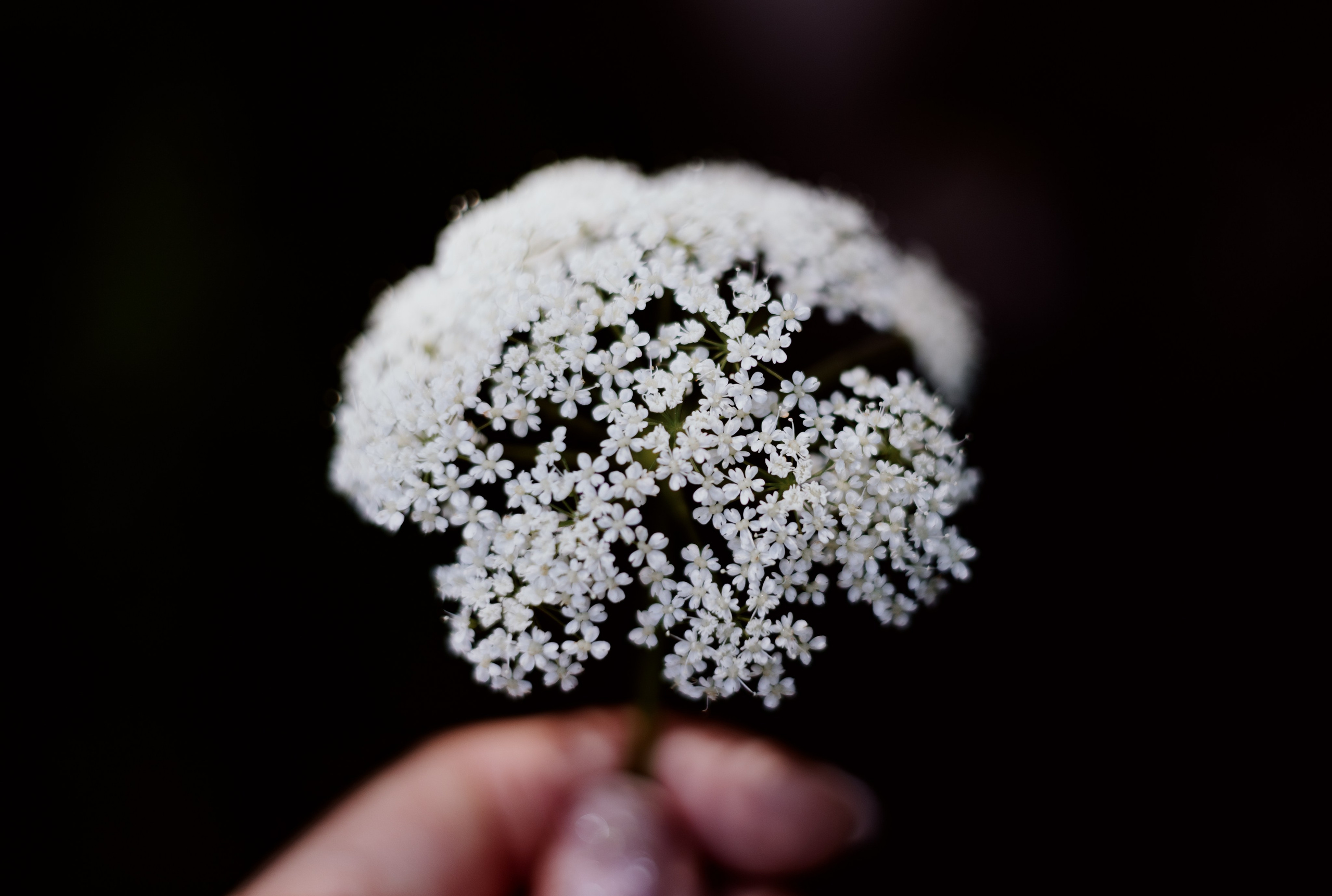 Sabīne x ĀTRSKADRS. Fotografė Aleksandra Samozvanova