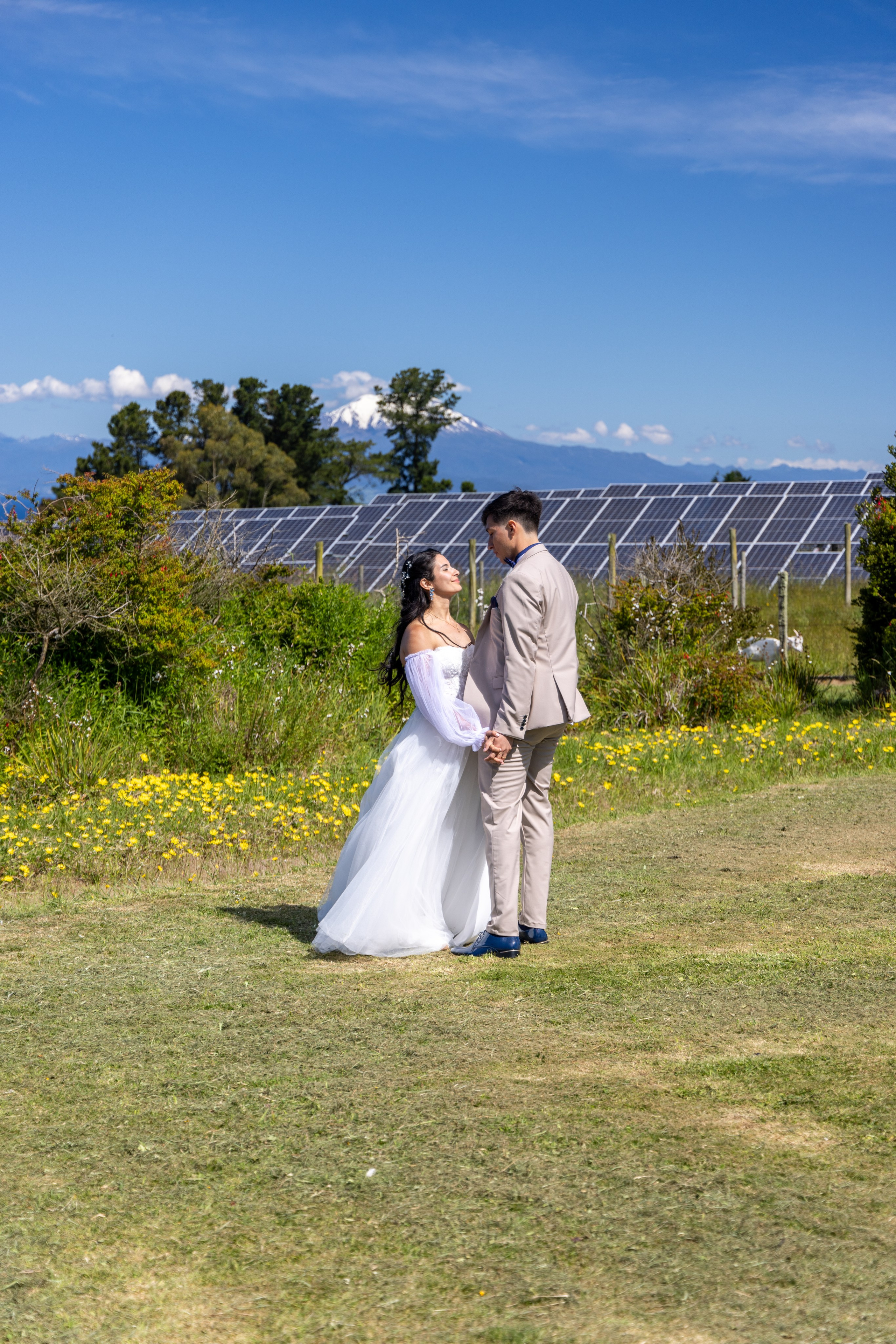 Carol & Ivo. Dinka & Emilio - El arte de preservar lo que no se repite