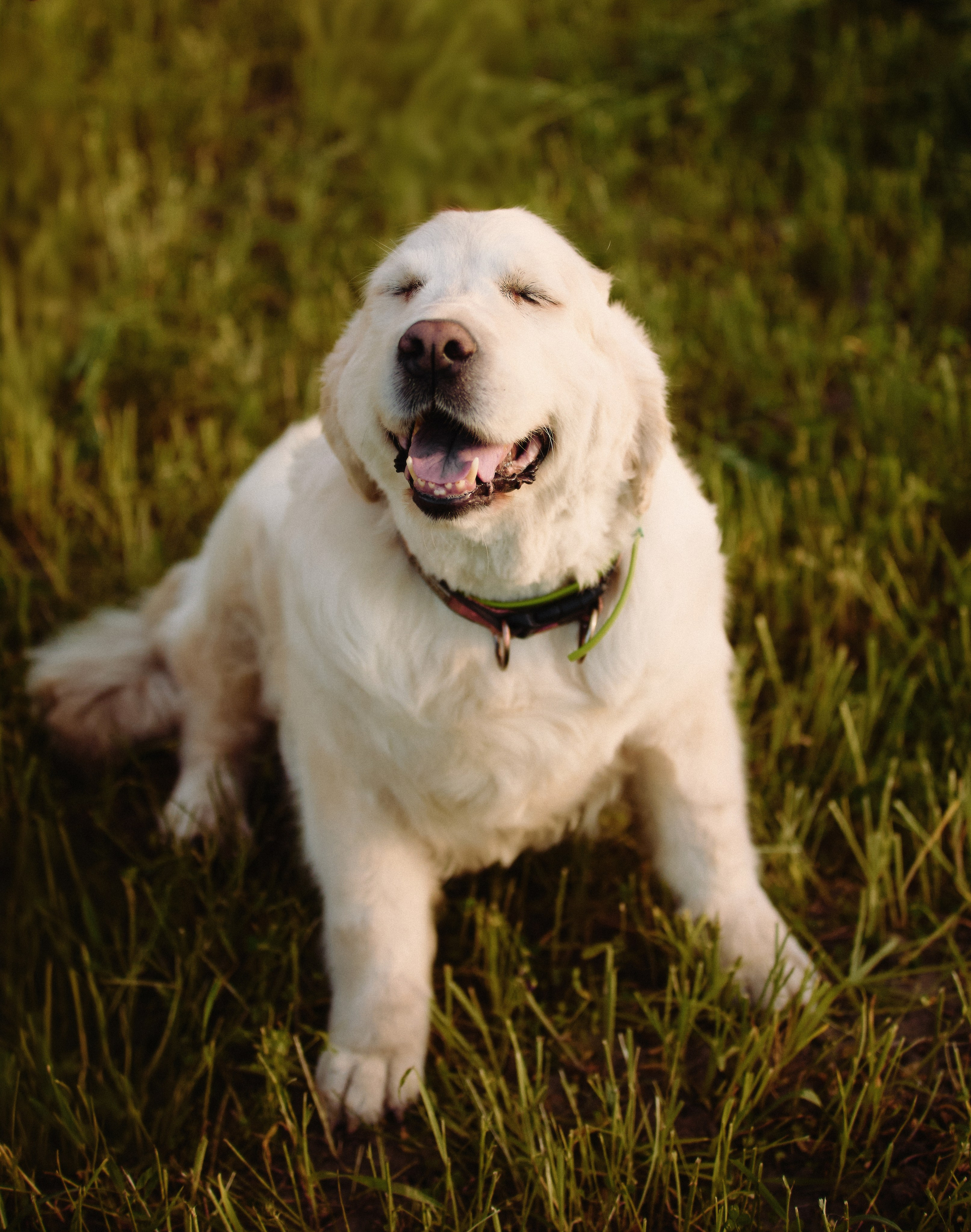 МамаДочь. Валерия Вартанова. Фотограф