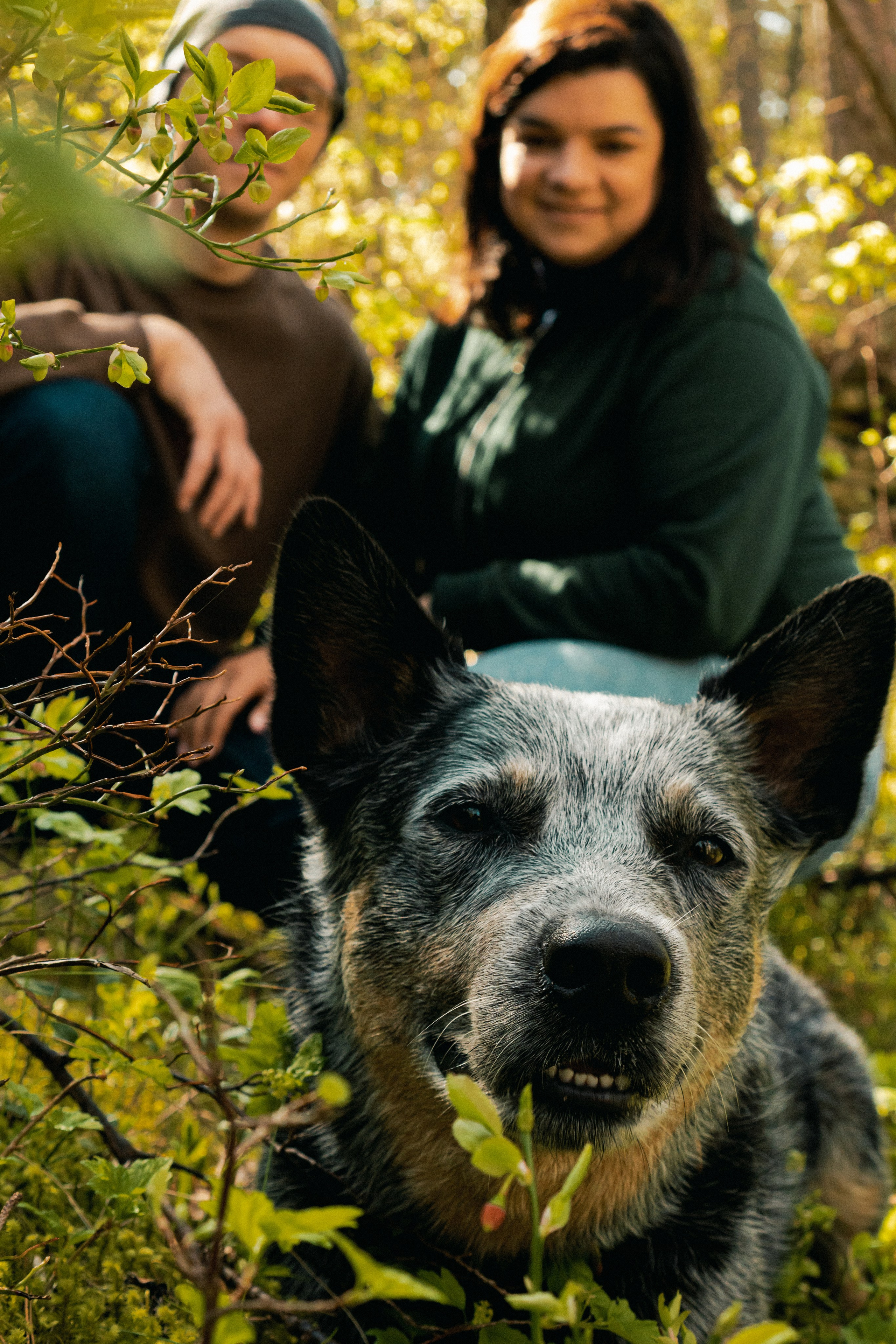 Oskar, Maria & Dmitrii. Kat Laisaar — Pet photographer in Tallinn