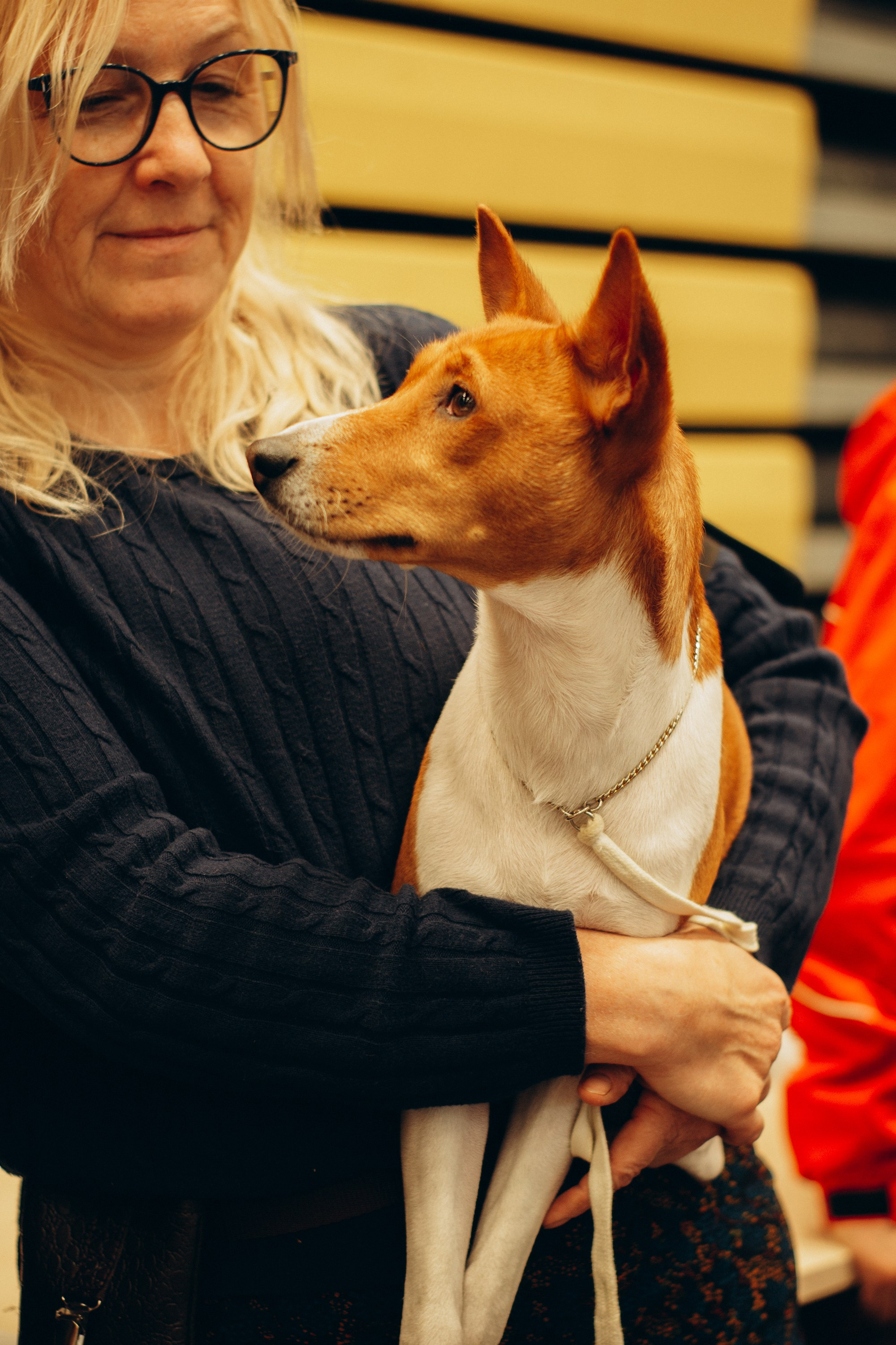 Rakvere Dog Show. Kat Laisaar — Pet photographer in Tallinn