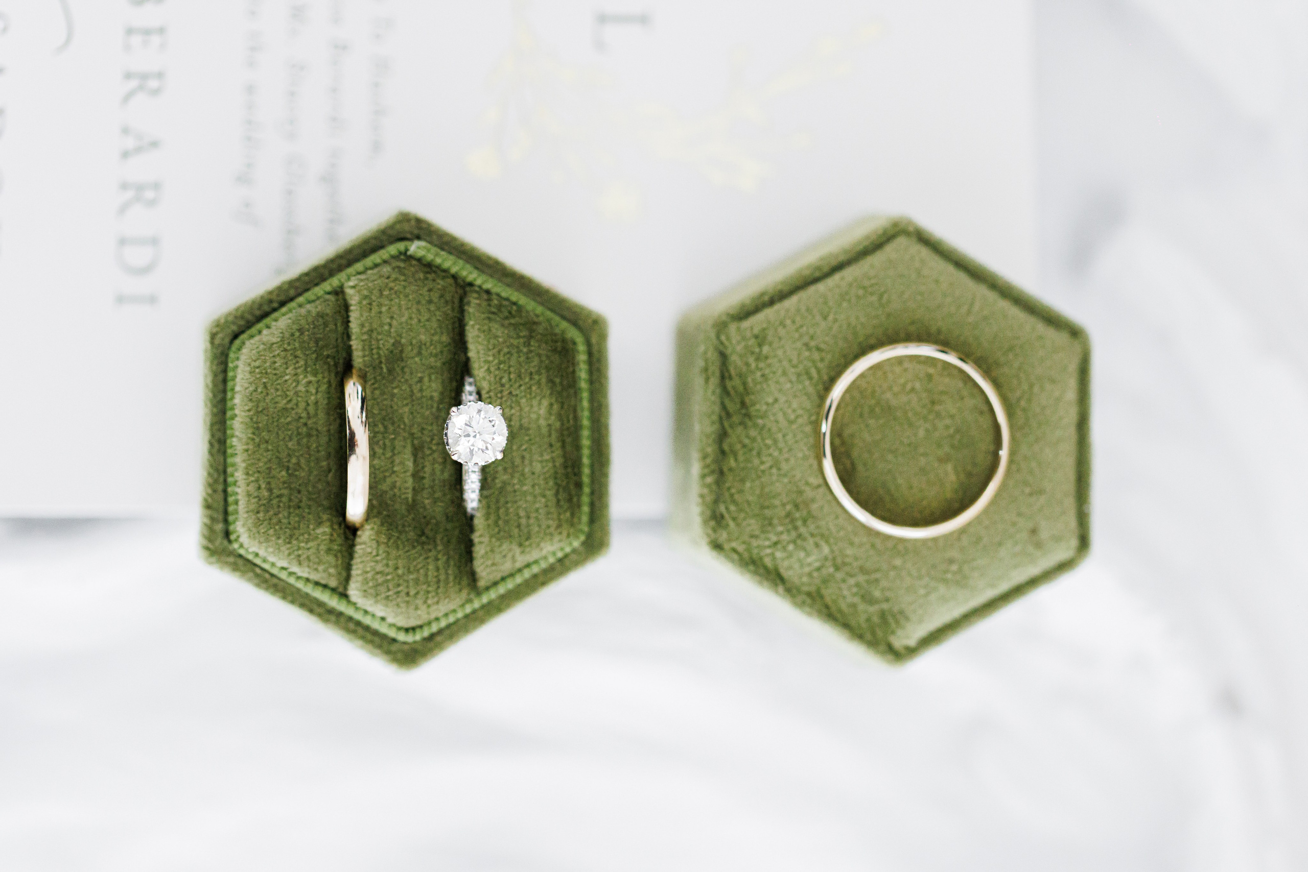 Ashley & Leshye, Falls Creek Farm Equestrian, NY. Wedding Photo & Video