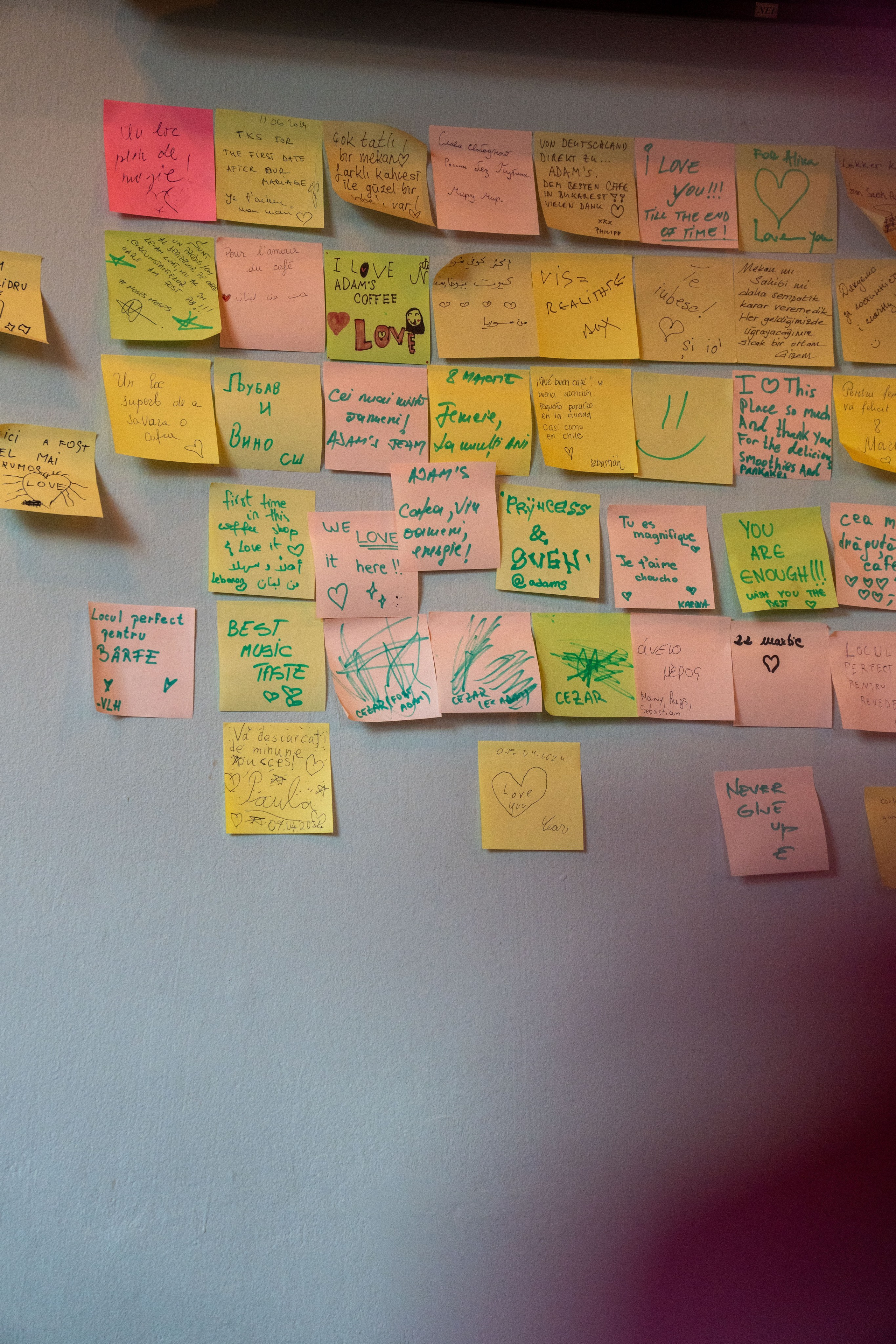 Adam’s. Creste si calatoreste