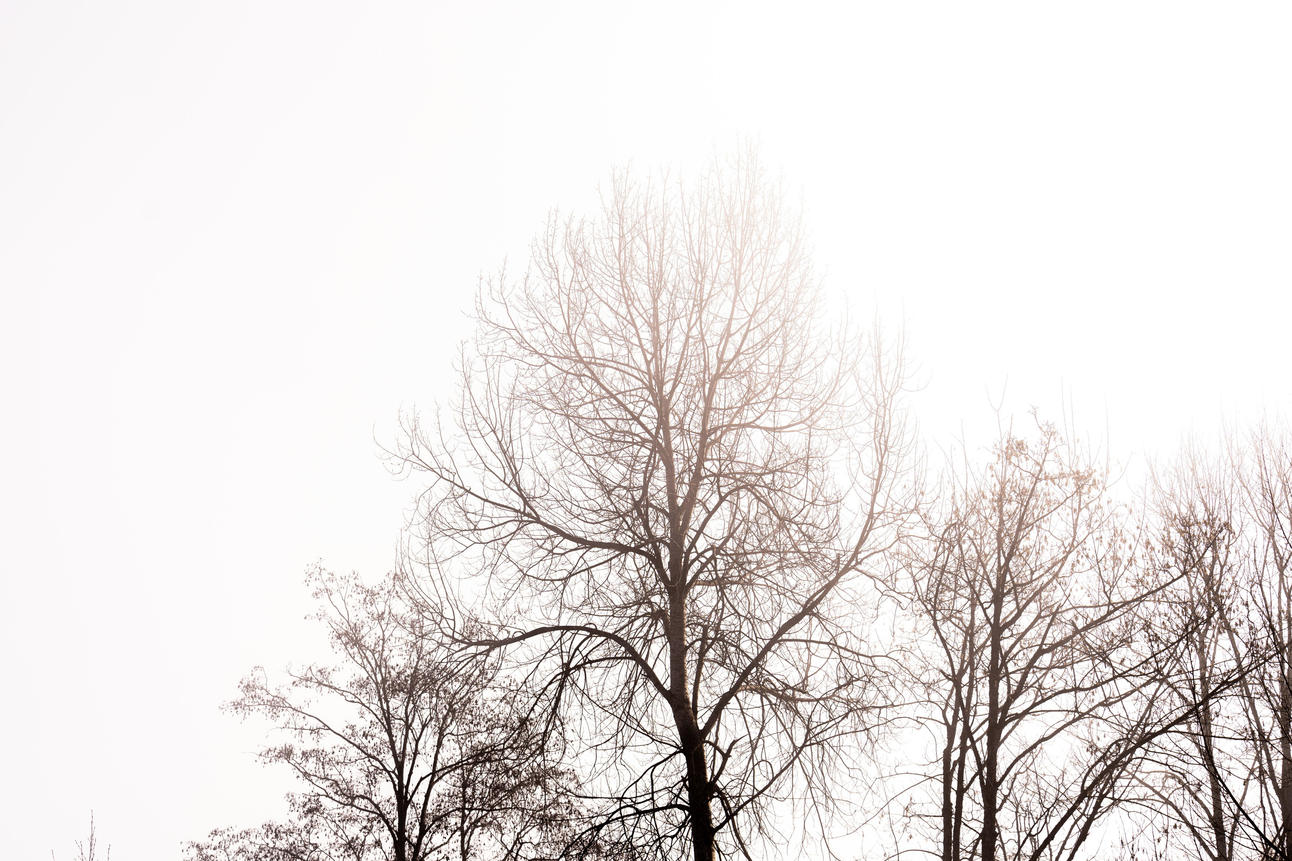 Photographies des Alpes – Photographie de Paysage | Eugenia Andres. Photographe à Genève - Eugenia Andres