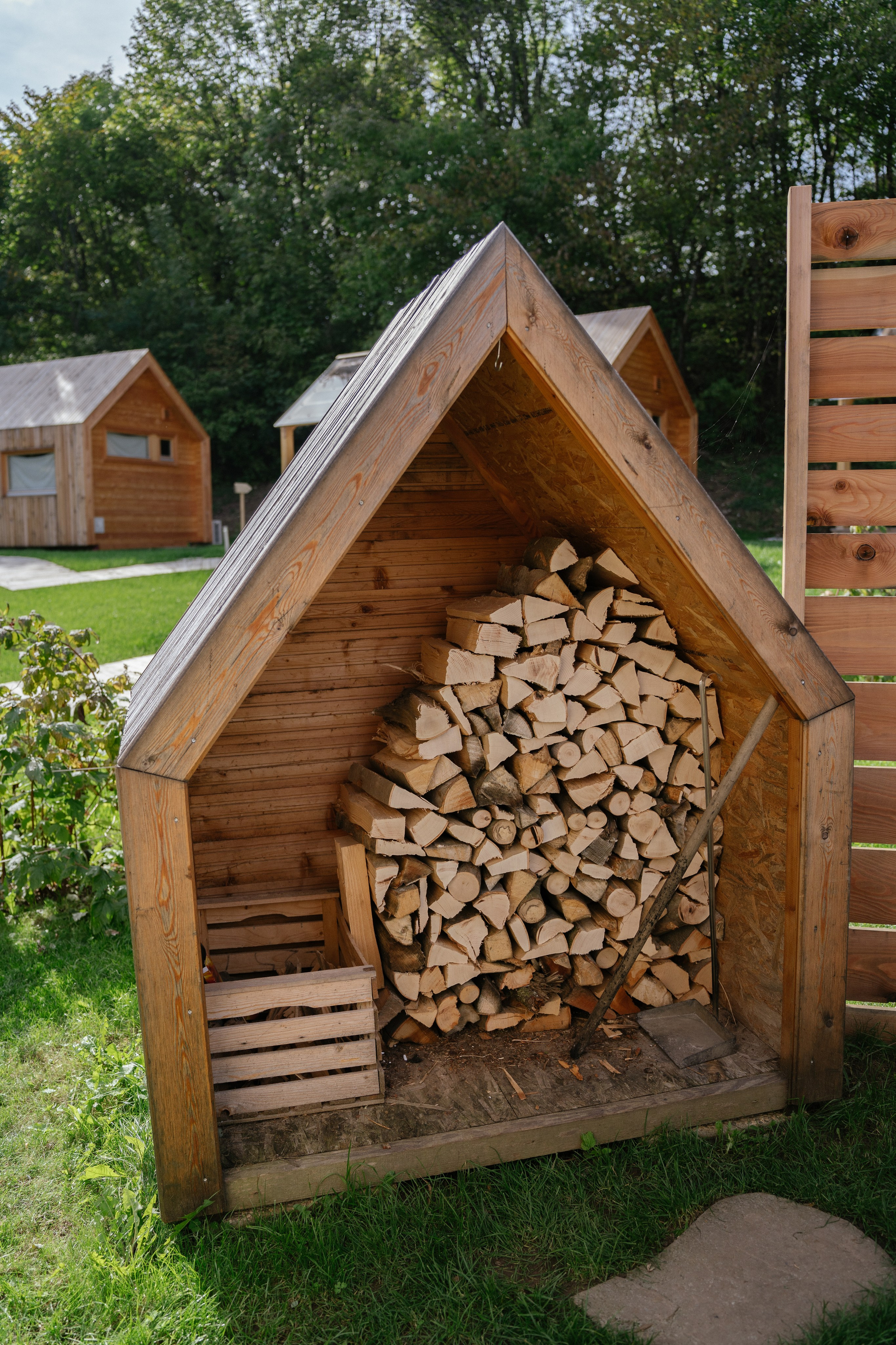 Airbnb. Patricia Morenci — Mountain Adventures for the Wild at Heart