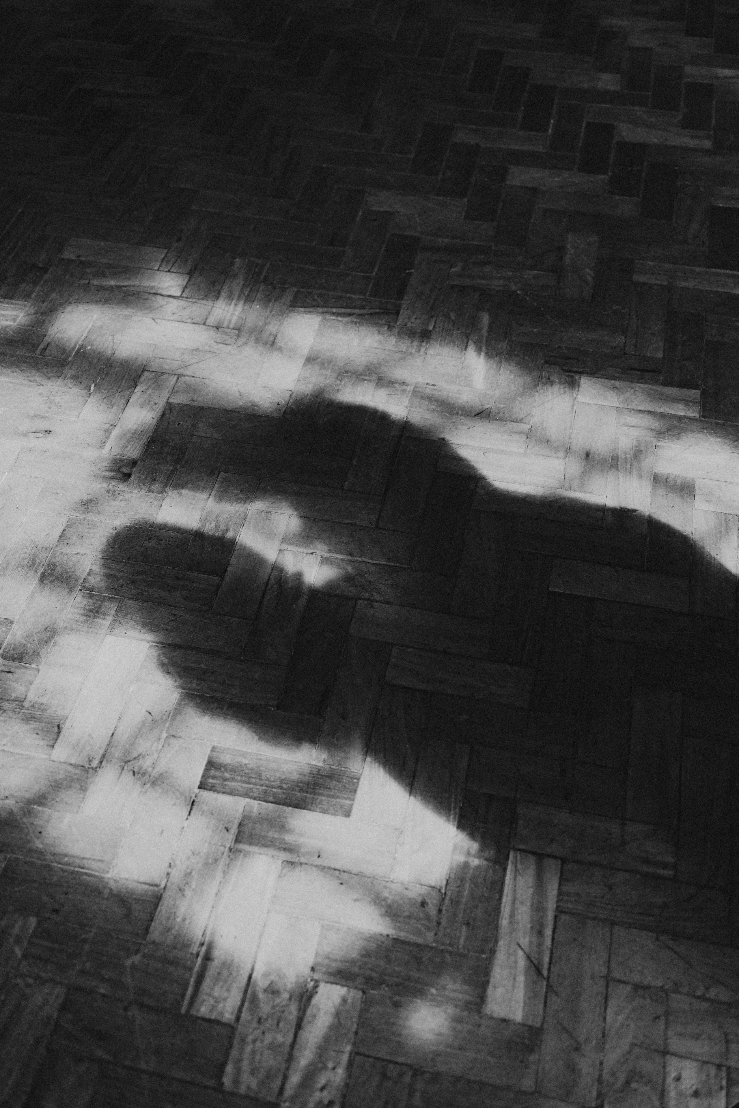 Pedro Rezende | Memórias Atemporais