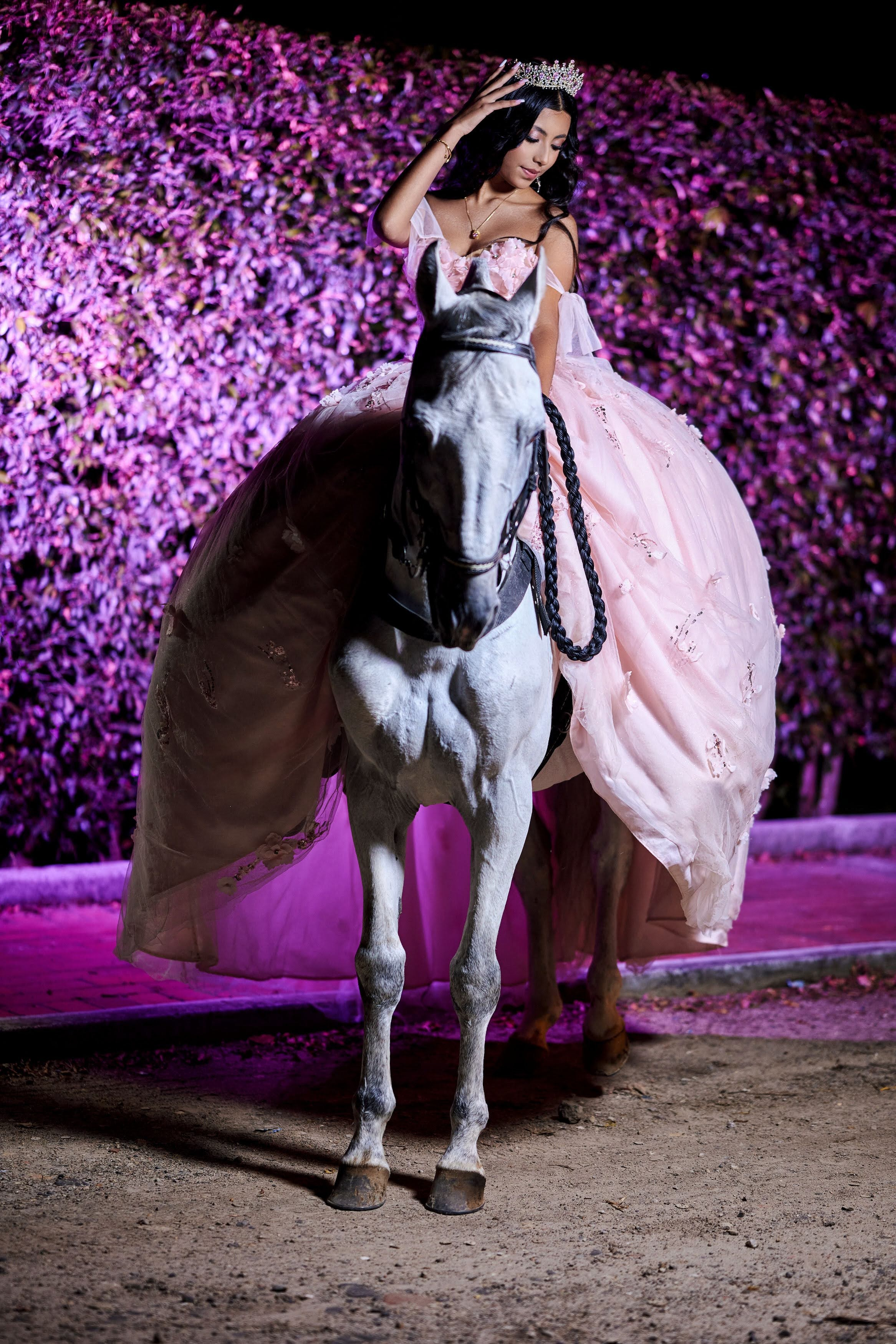 Fotos Con caballos para Quiceaños. Wedding Photography & Videography by ZZ Hendrick | Capturing Your Love Story in Colombia & USA