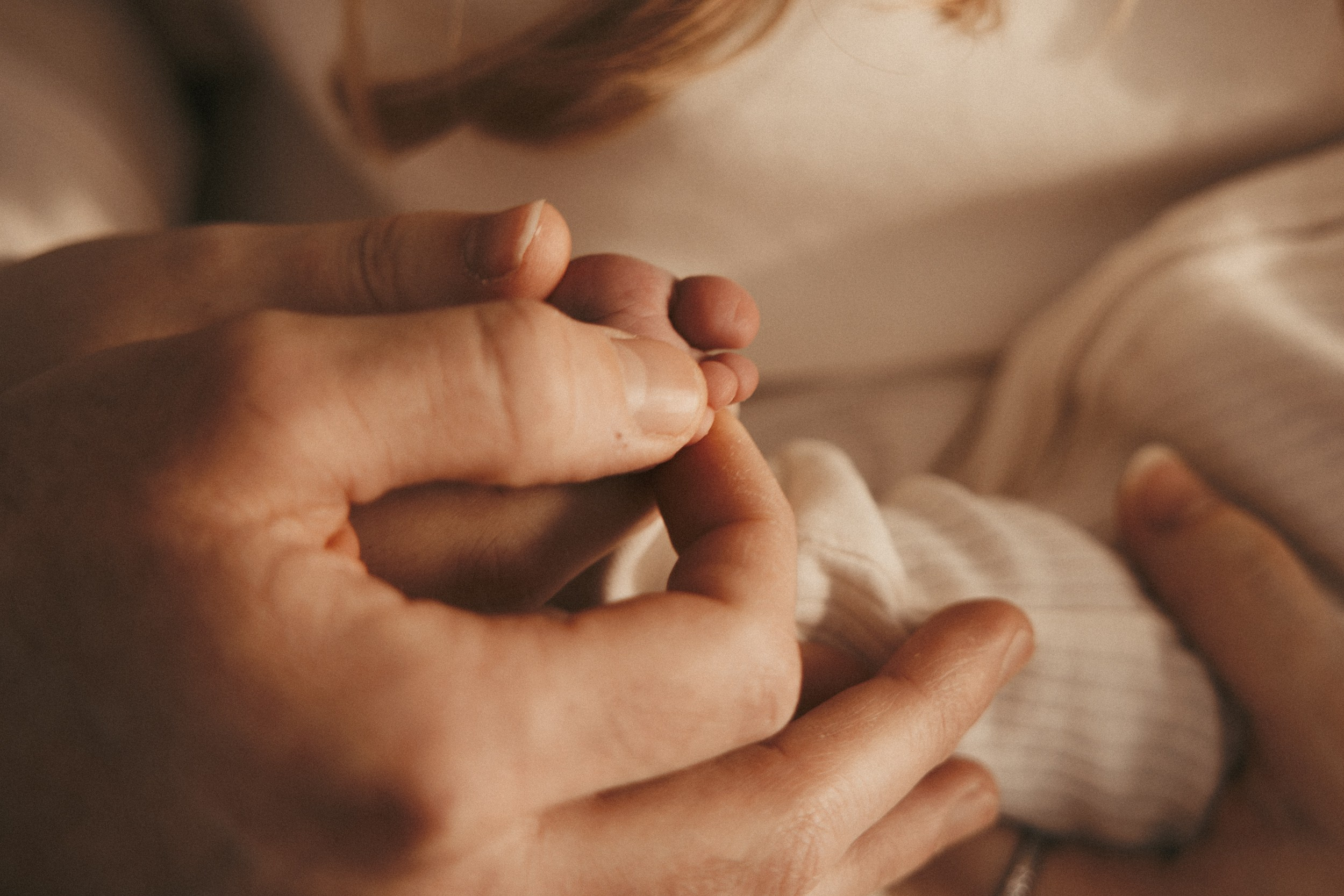 Tiny baby fingers holding parent’s hand close up