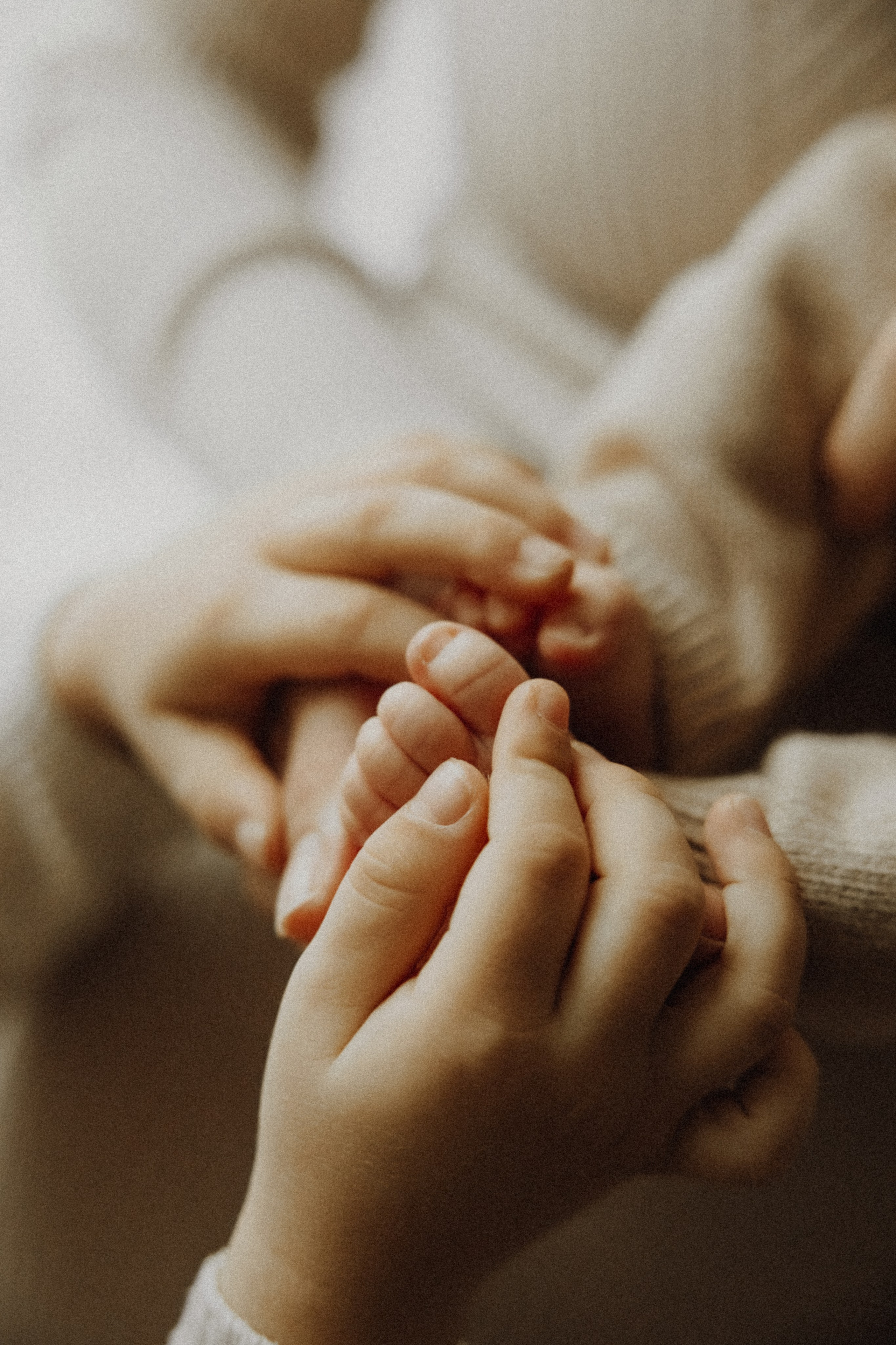 Baby Boy. Фотограф Ирина Йотова