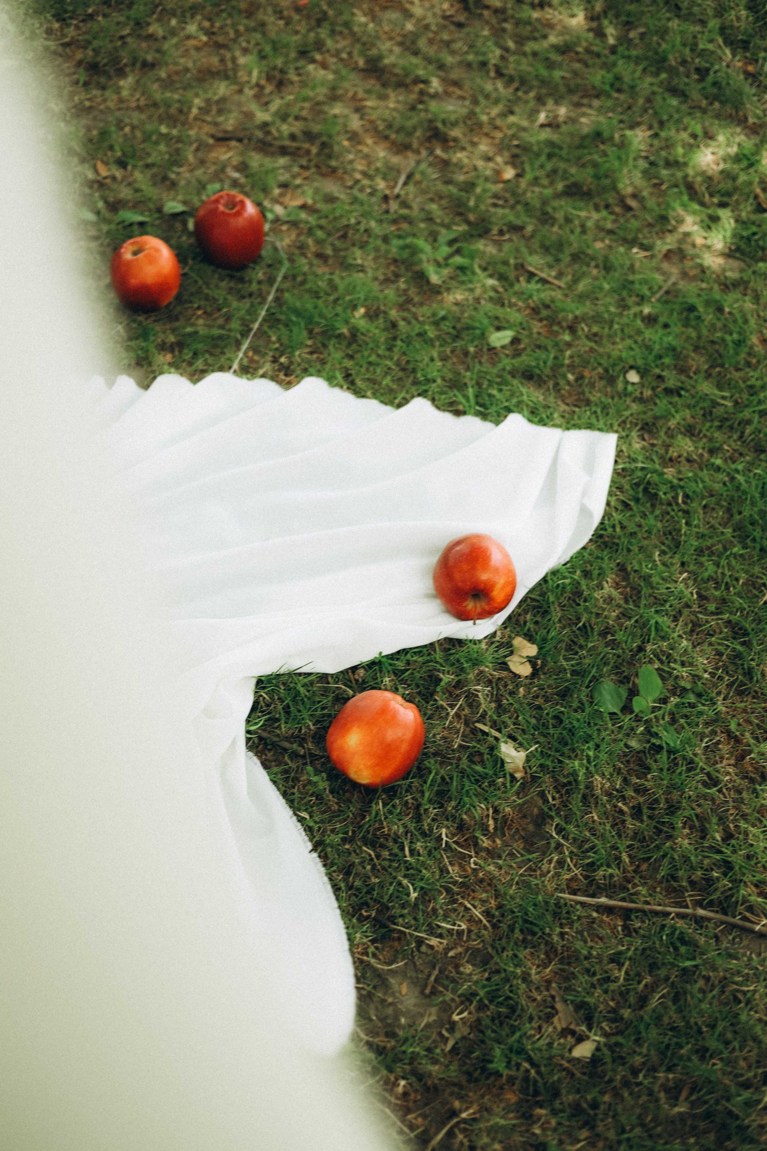 Tanya and Roma. Daria Sazanova — Portrait photographer in Bratislava and Vienna