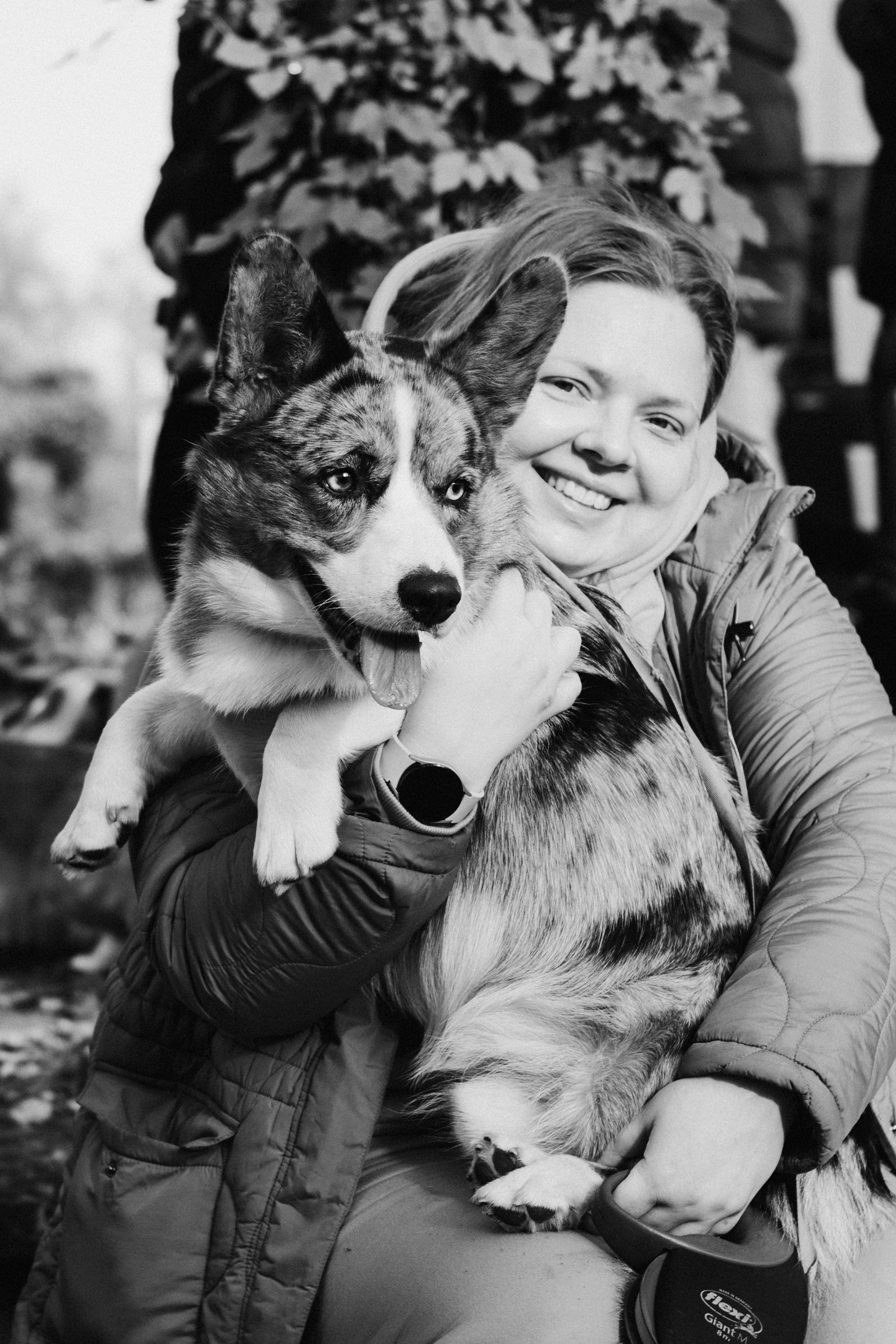 Corgi party, october. Kat Laisaar — Pet photographer in Tallinn