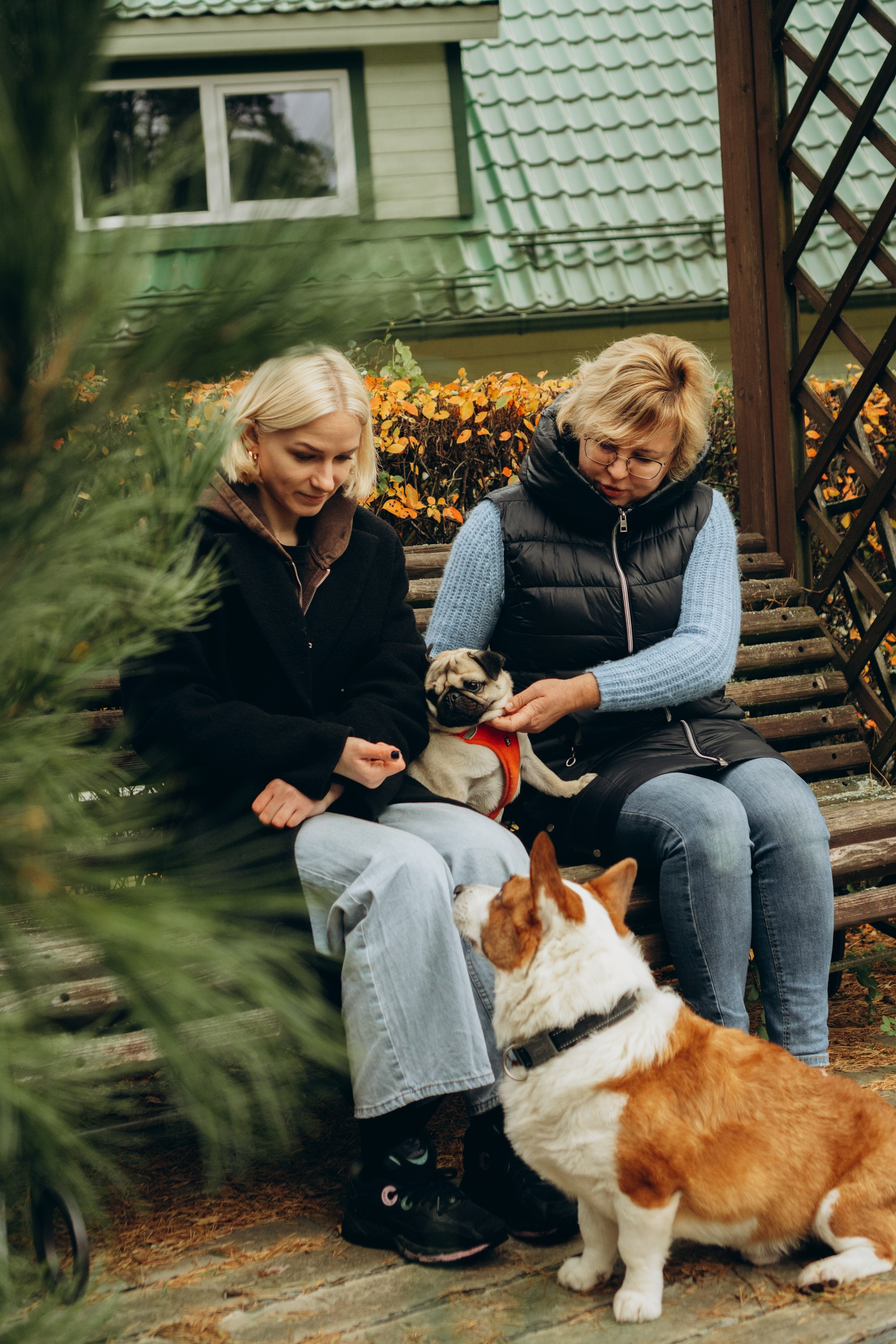 Jelena and her Sandy, Pug and Katja and her Safiir, Cardigan Welsh Corgi. Kat Laisaar — Pet photographer in Tallinn