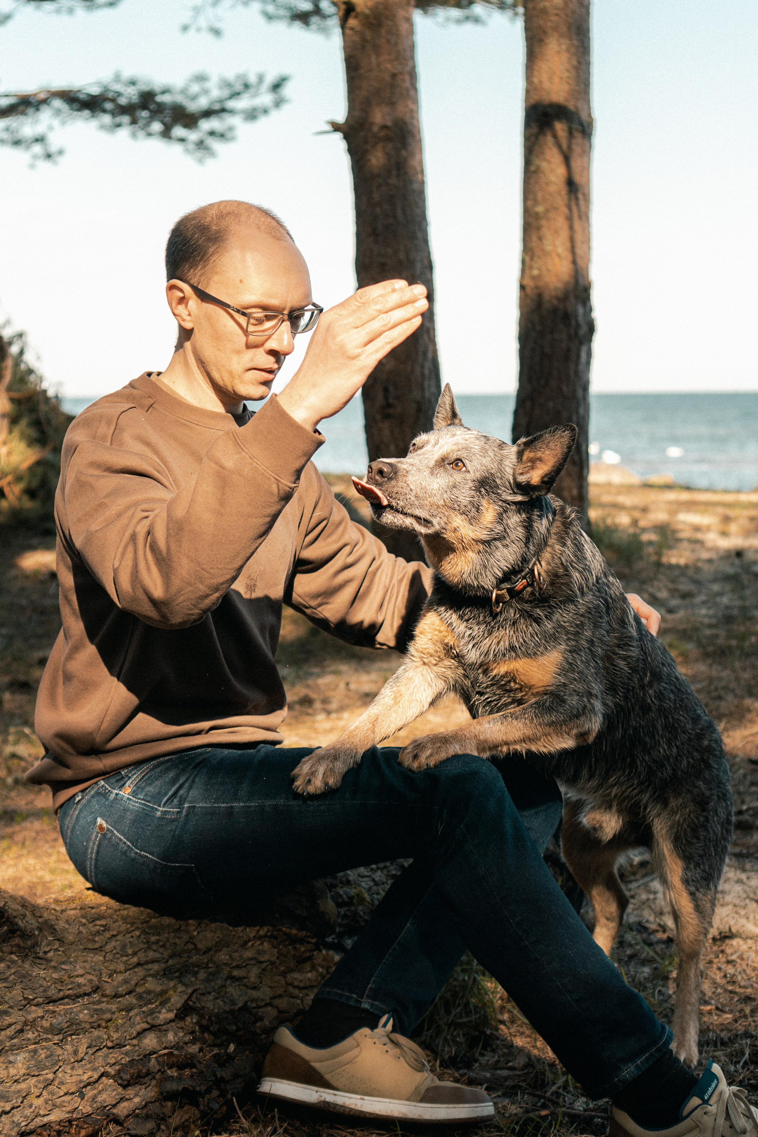 Oskar, Maria & Dmitrii. Kat Laisaar — Pet photographer in Tallinn