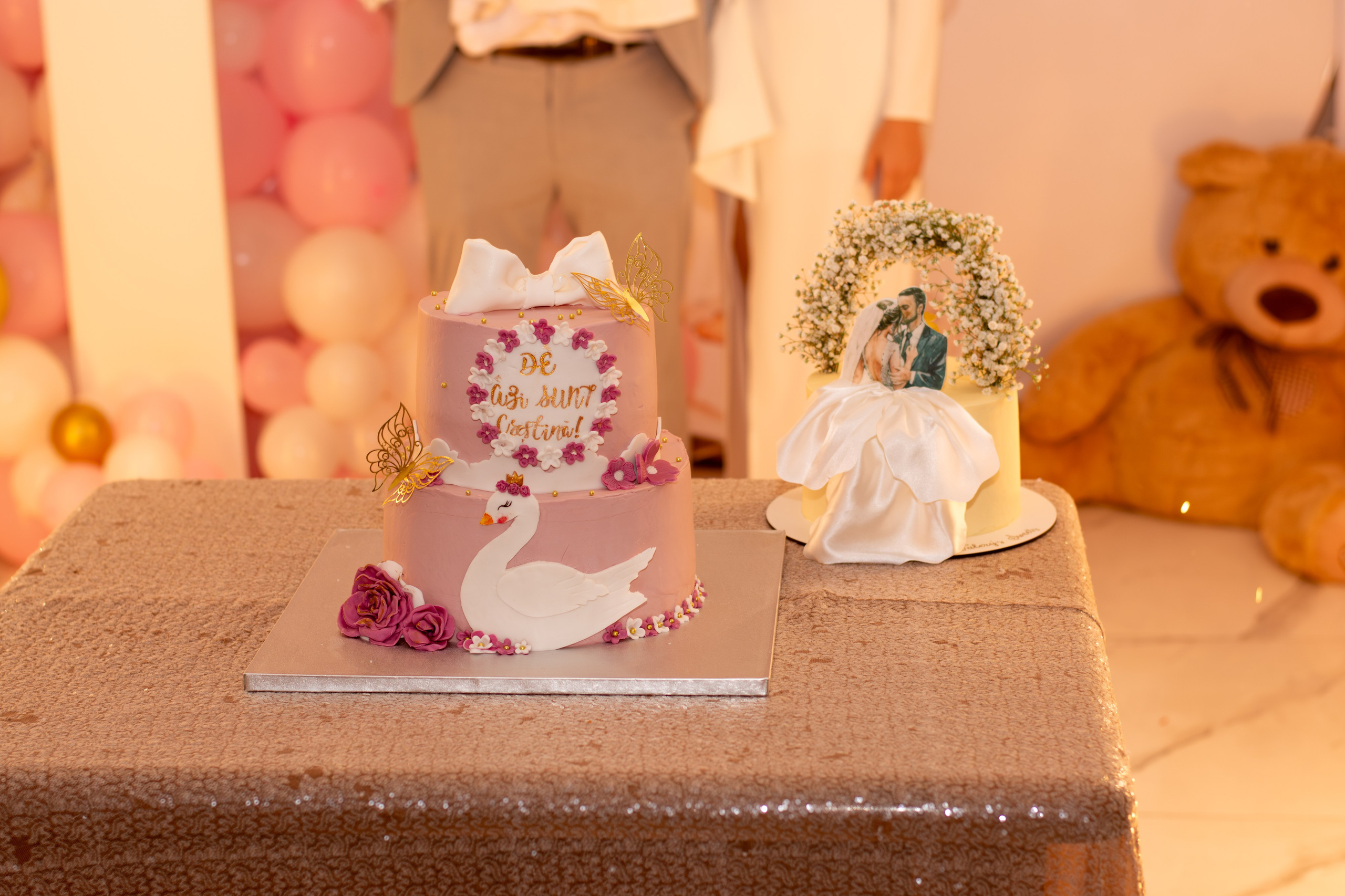 Milanya. Fotograful și Cameramanul familiei dvs în Franța Paul Photographer