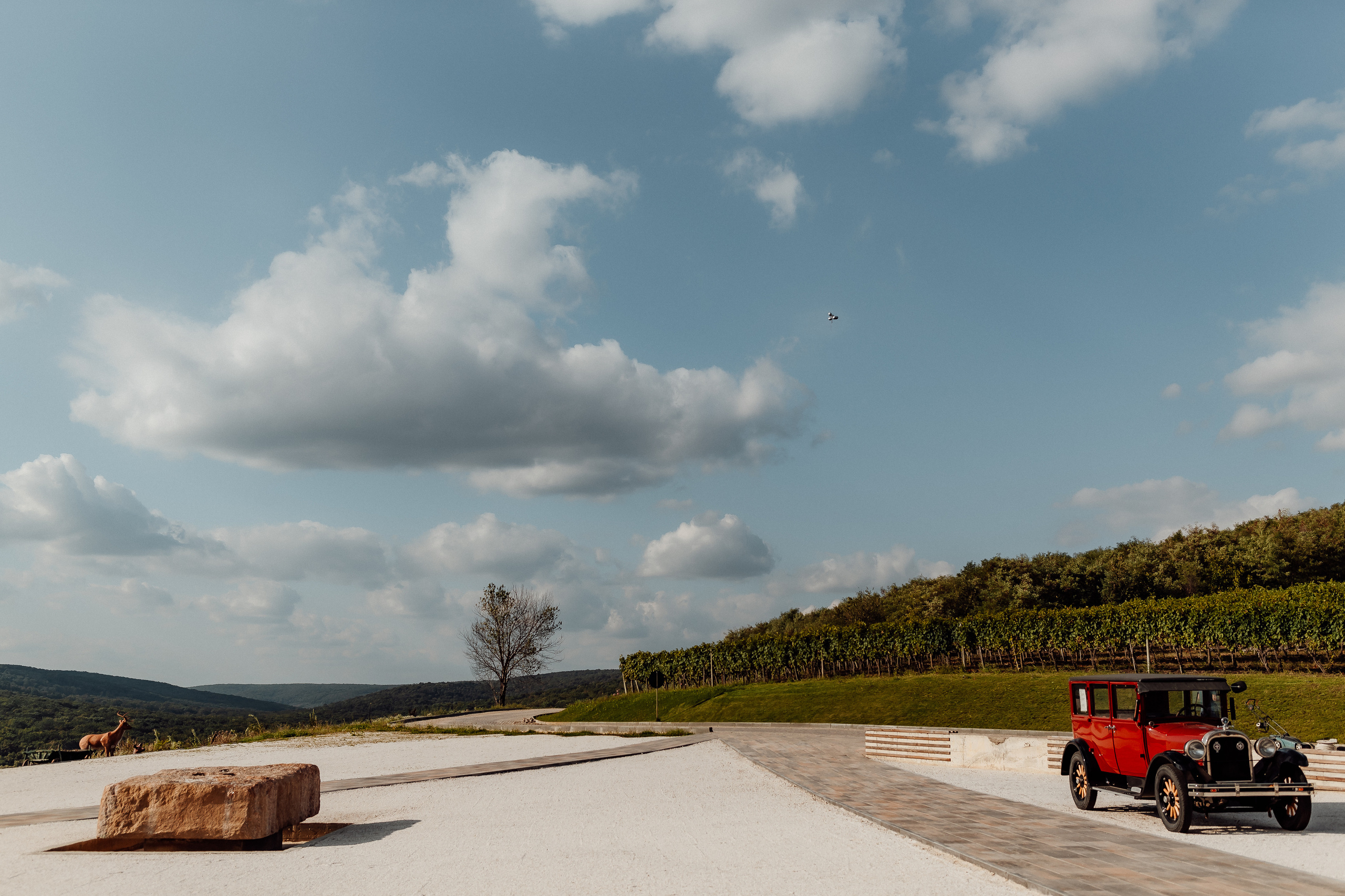 Vlad+Cristina. Photographer from Moldova Igor Bogaciov