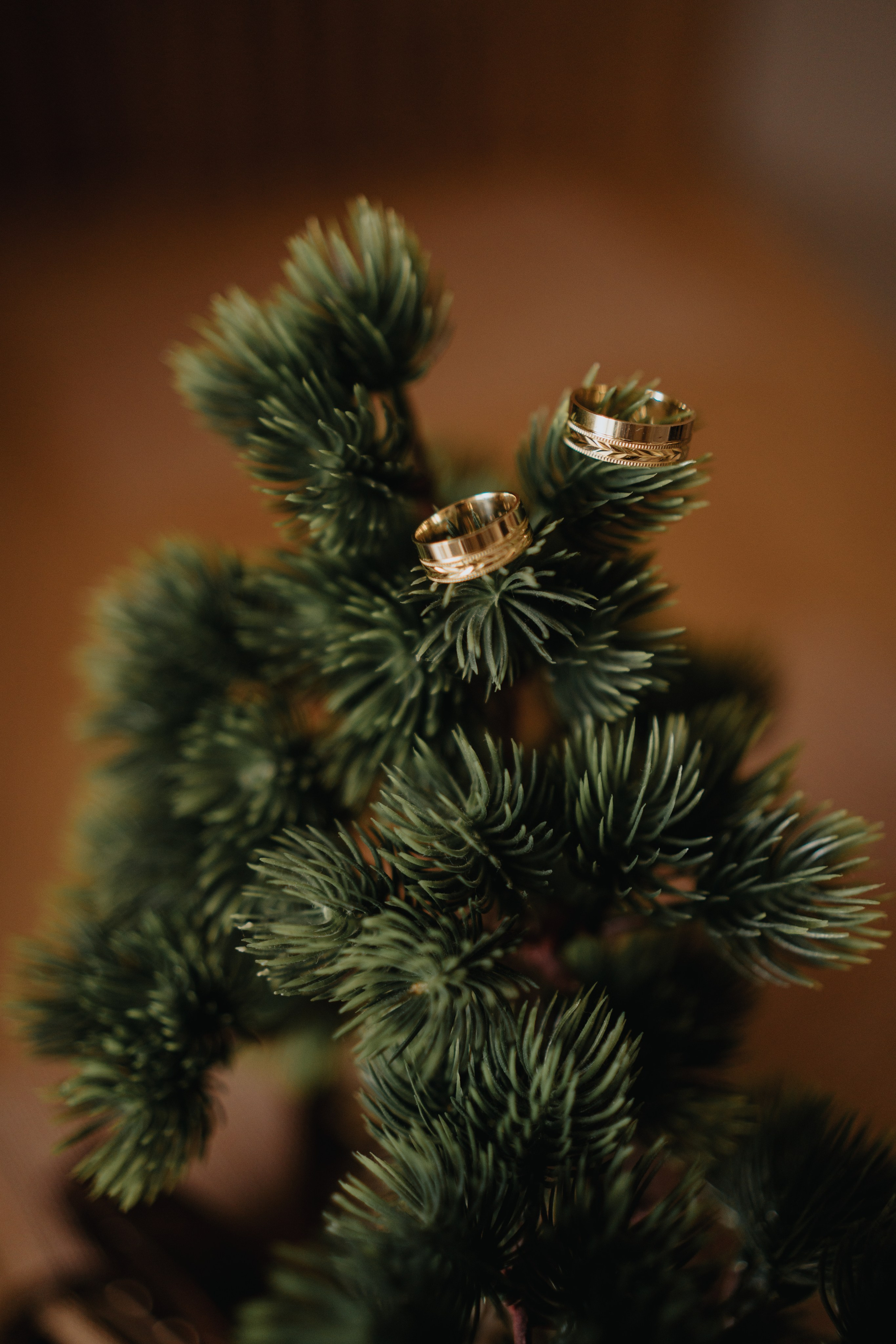 Nunta. Mihai Padurariu - fotograf