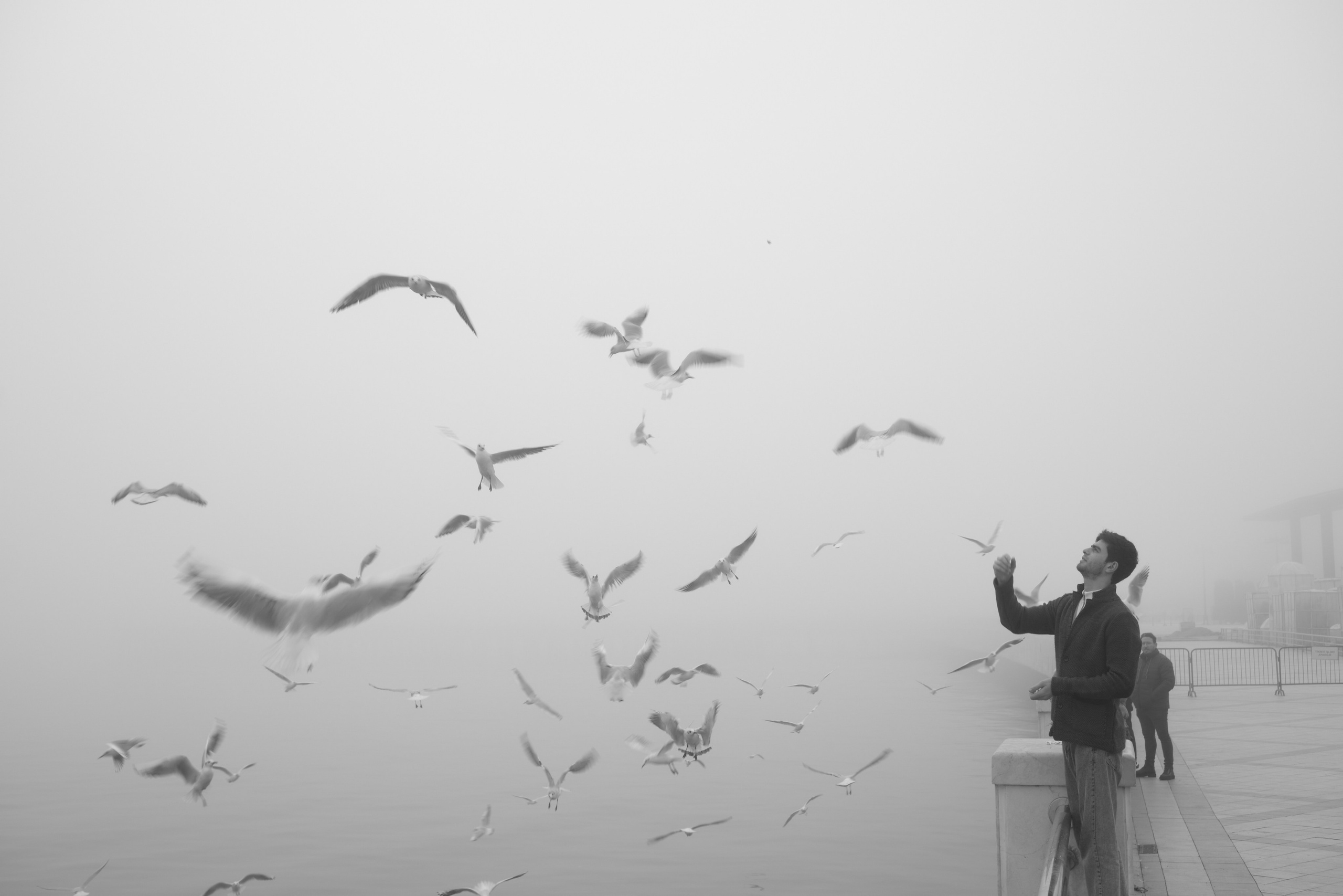 Day For Night. Fuad Shafiyev