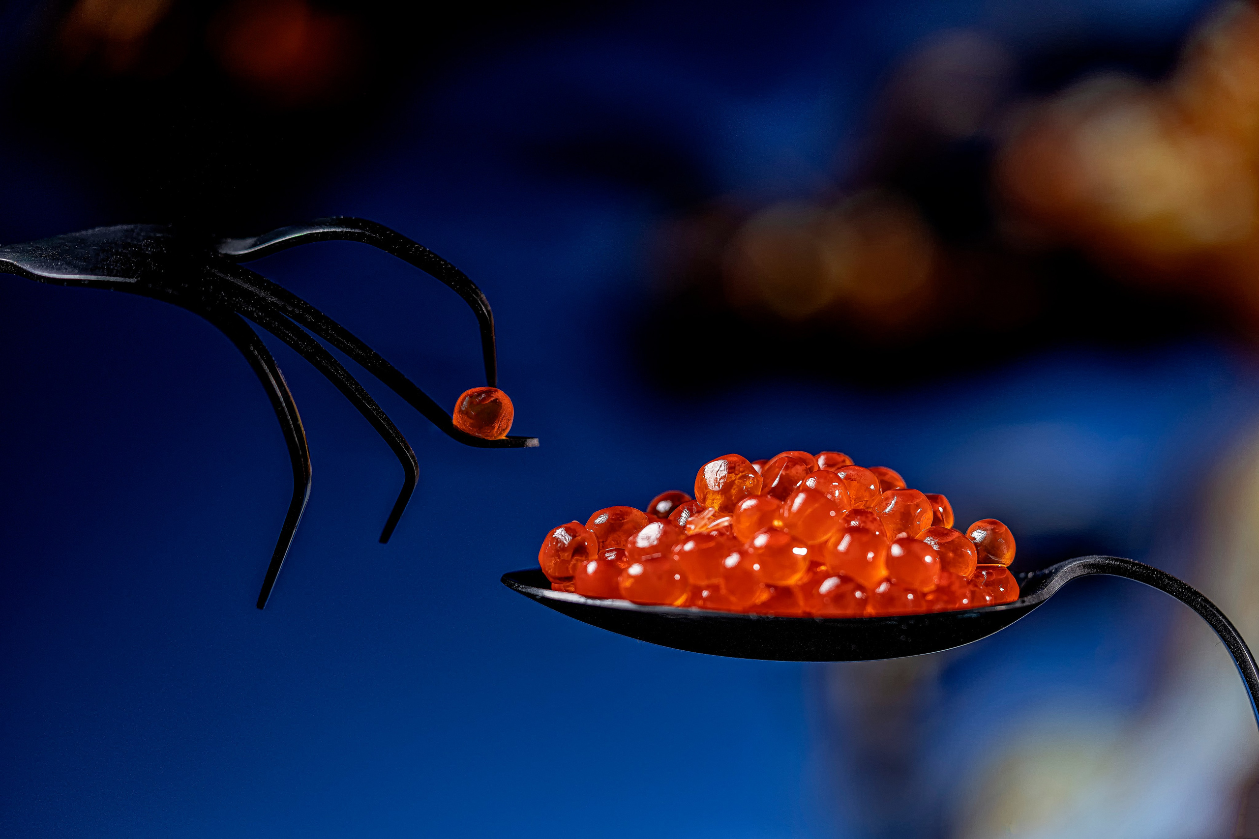 Food Fotografie. LUKIN IGOR Photography