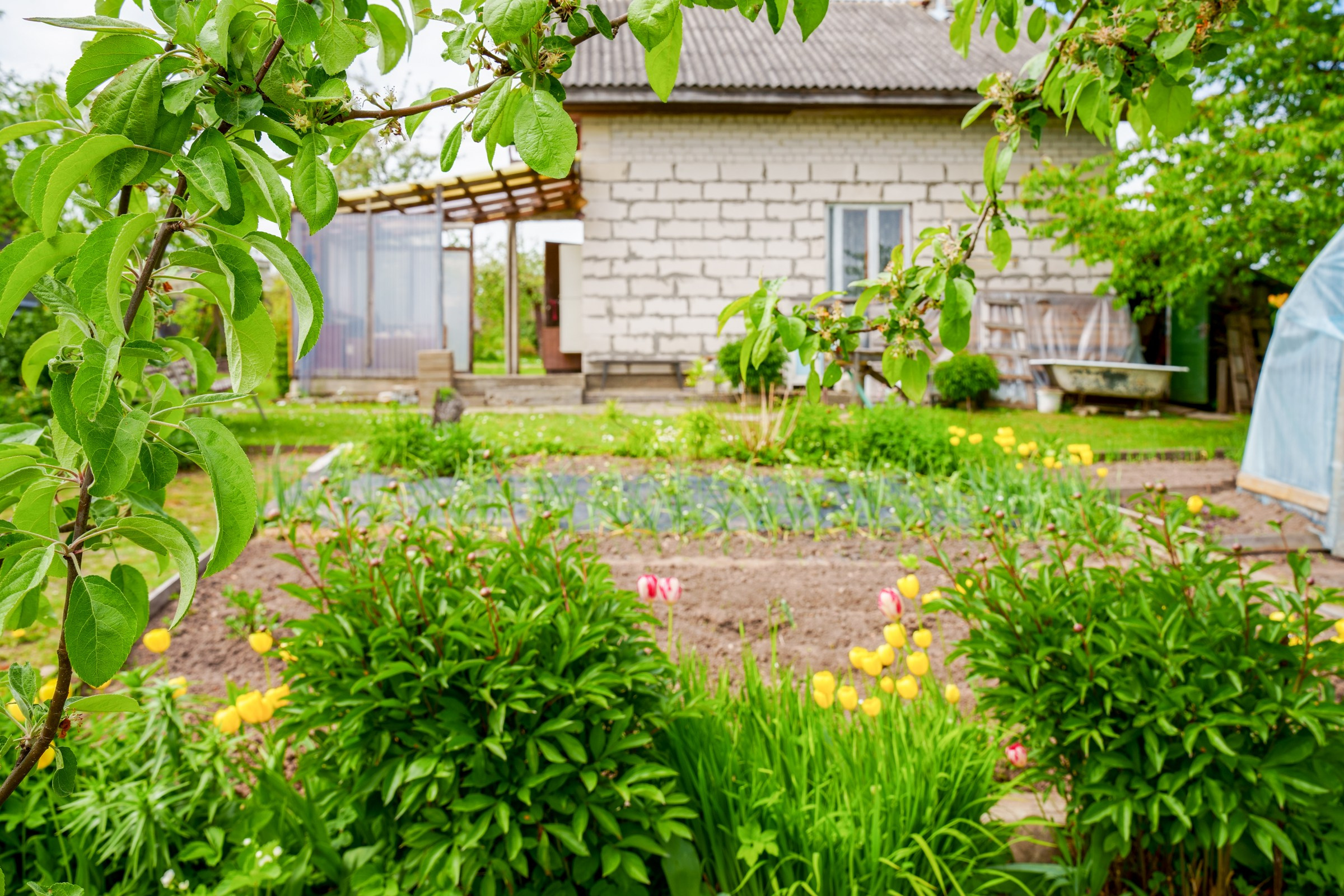 Pupojų sodų 3-oji. Elina Sapiega fotografė Vilniuje