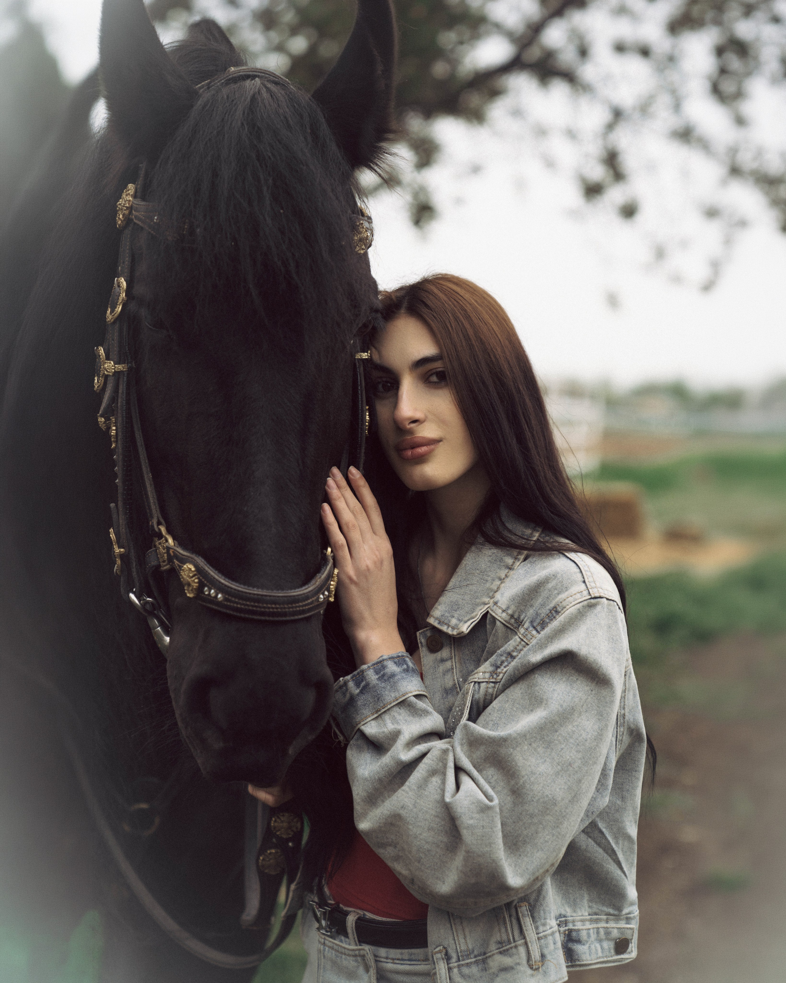 გარე ფოტოსესია ცხენებთან. ფოტოგრაფი სალომე ბარბაქაძე