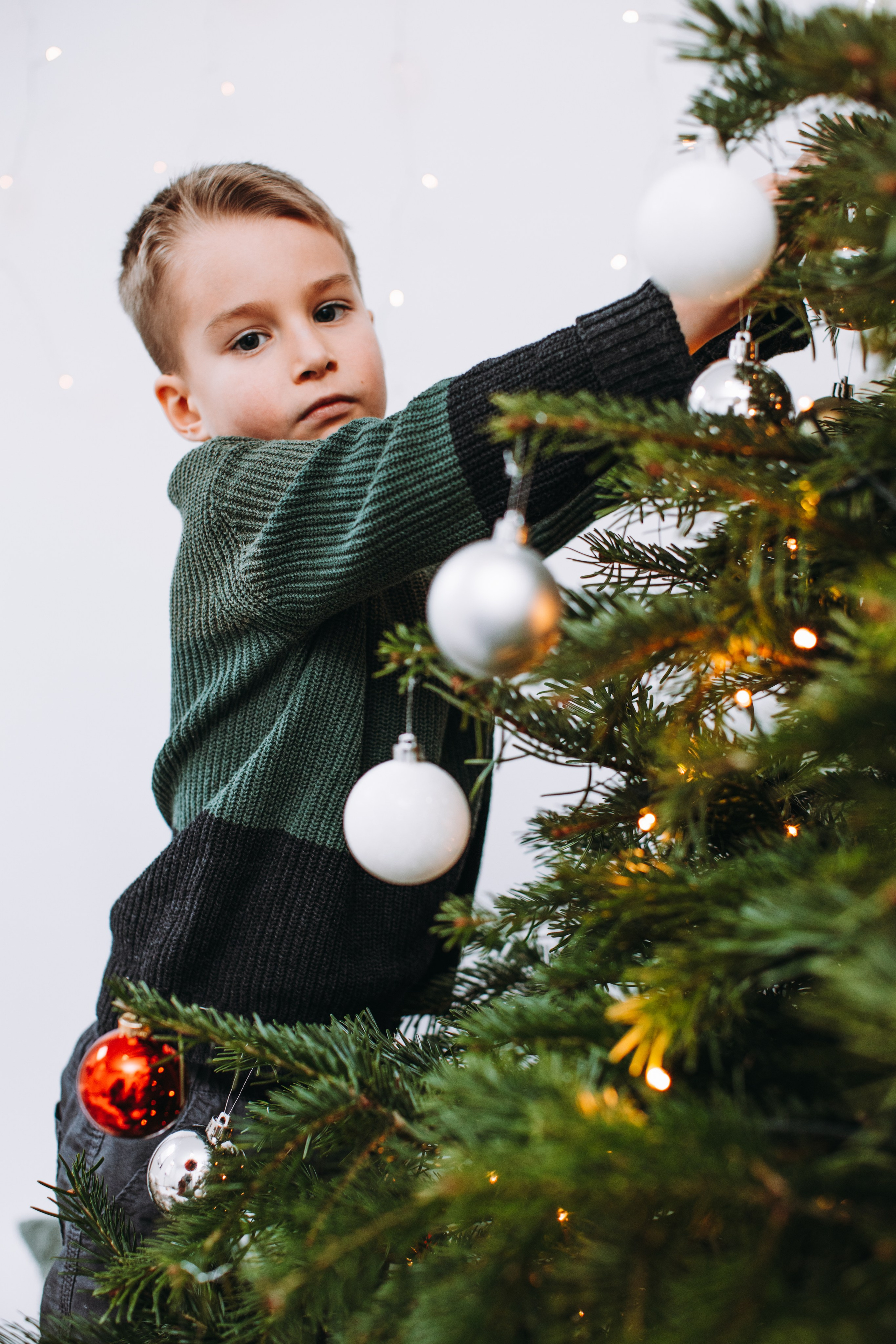 Weihnachtsshooting. Dienstleistungen