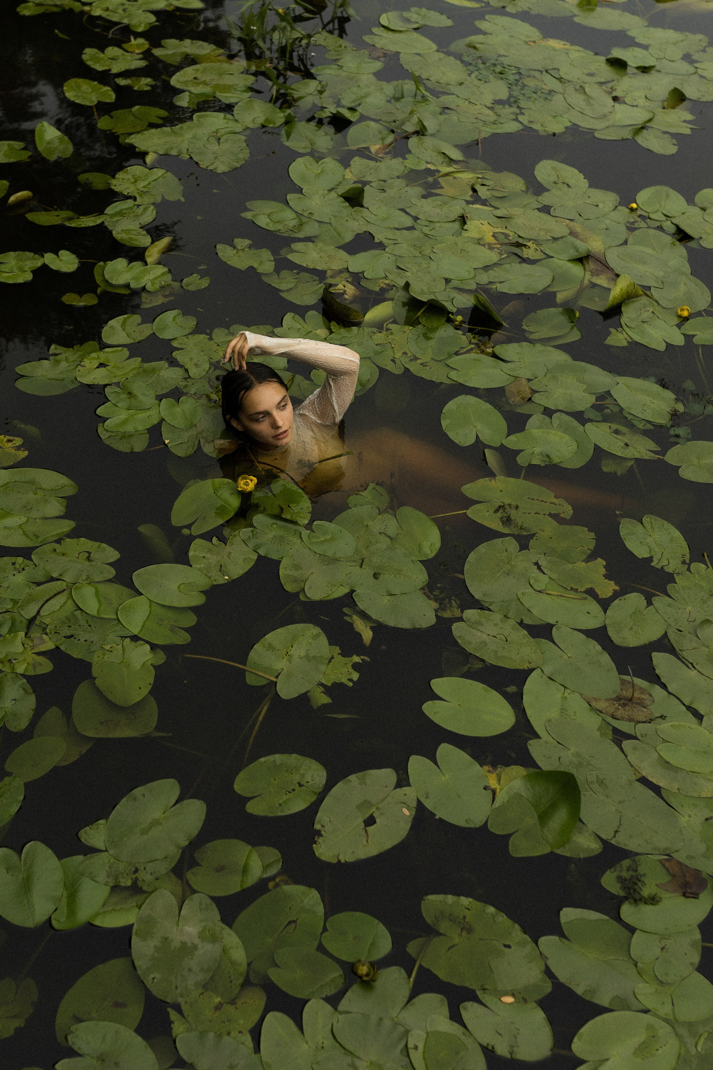 Індивідуальна. Price