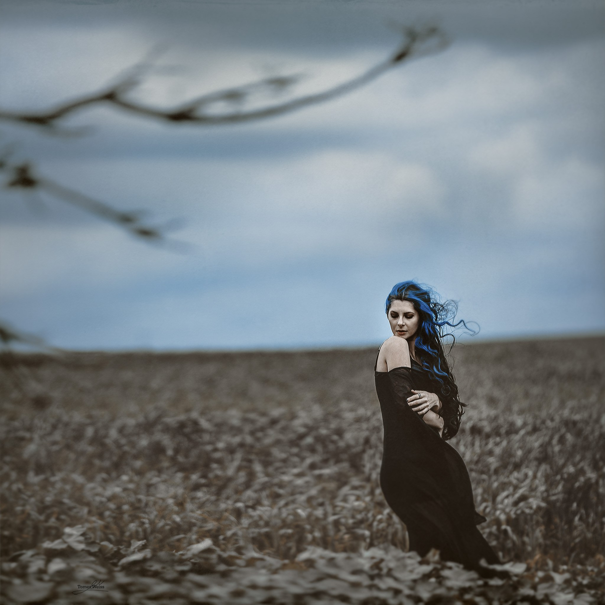 Tomer Weiss Fine Art Photography