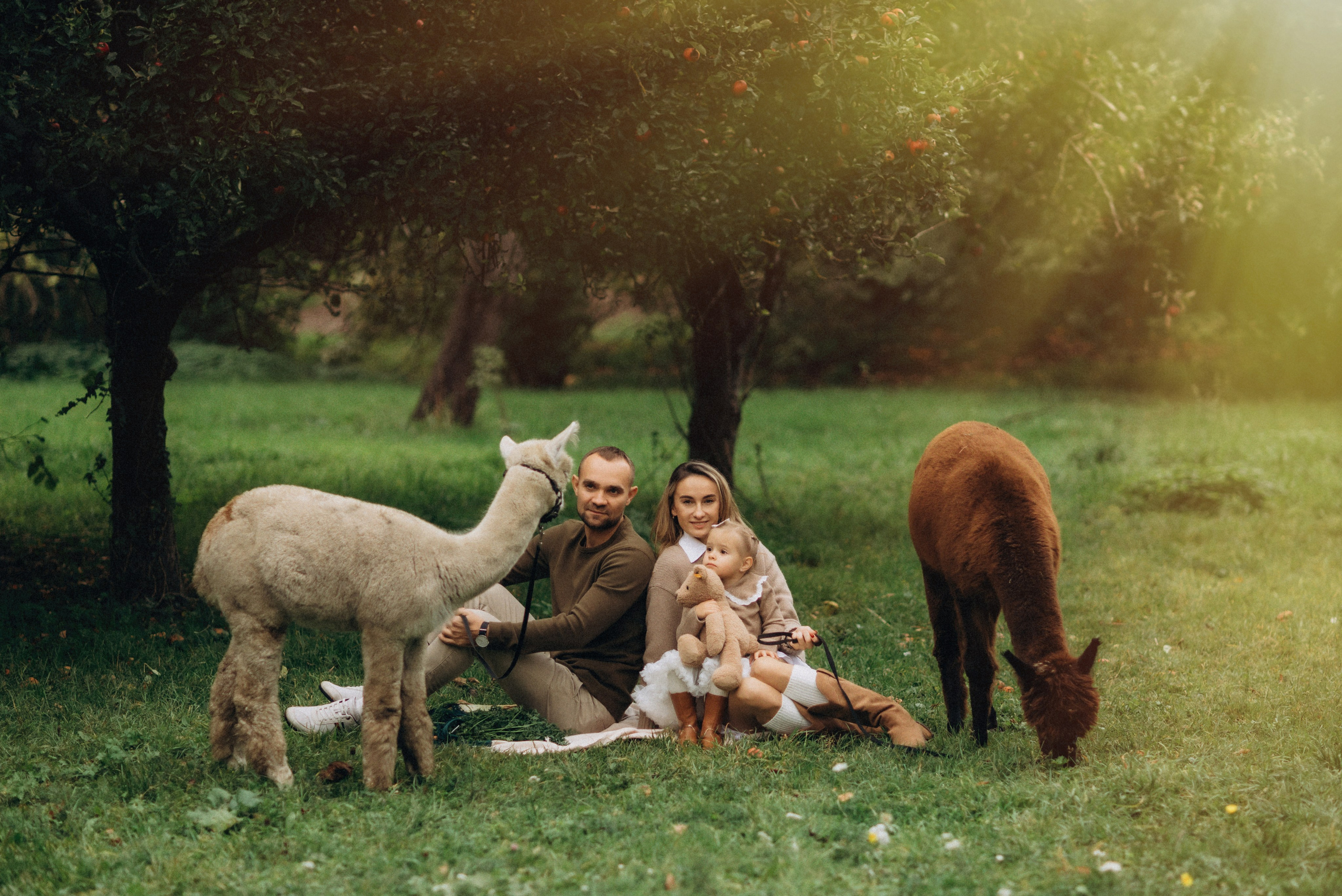 Семейная фотосессия с альпаками. Семейный фотограф Лейпциг, Германия