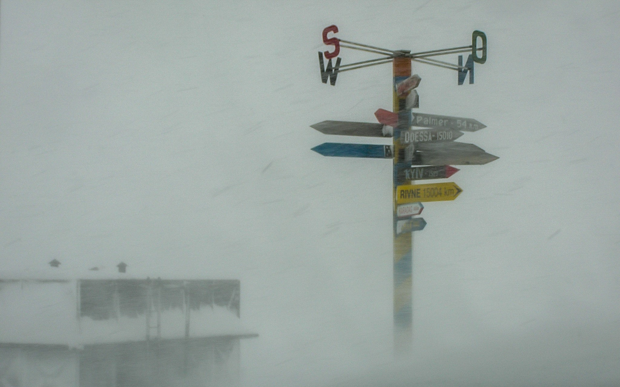 ANTARCTICA / 2004. Reportage concert portrait photography in the San Francisco Bay Area