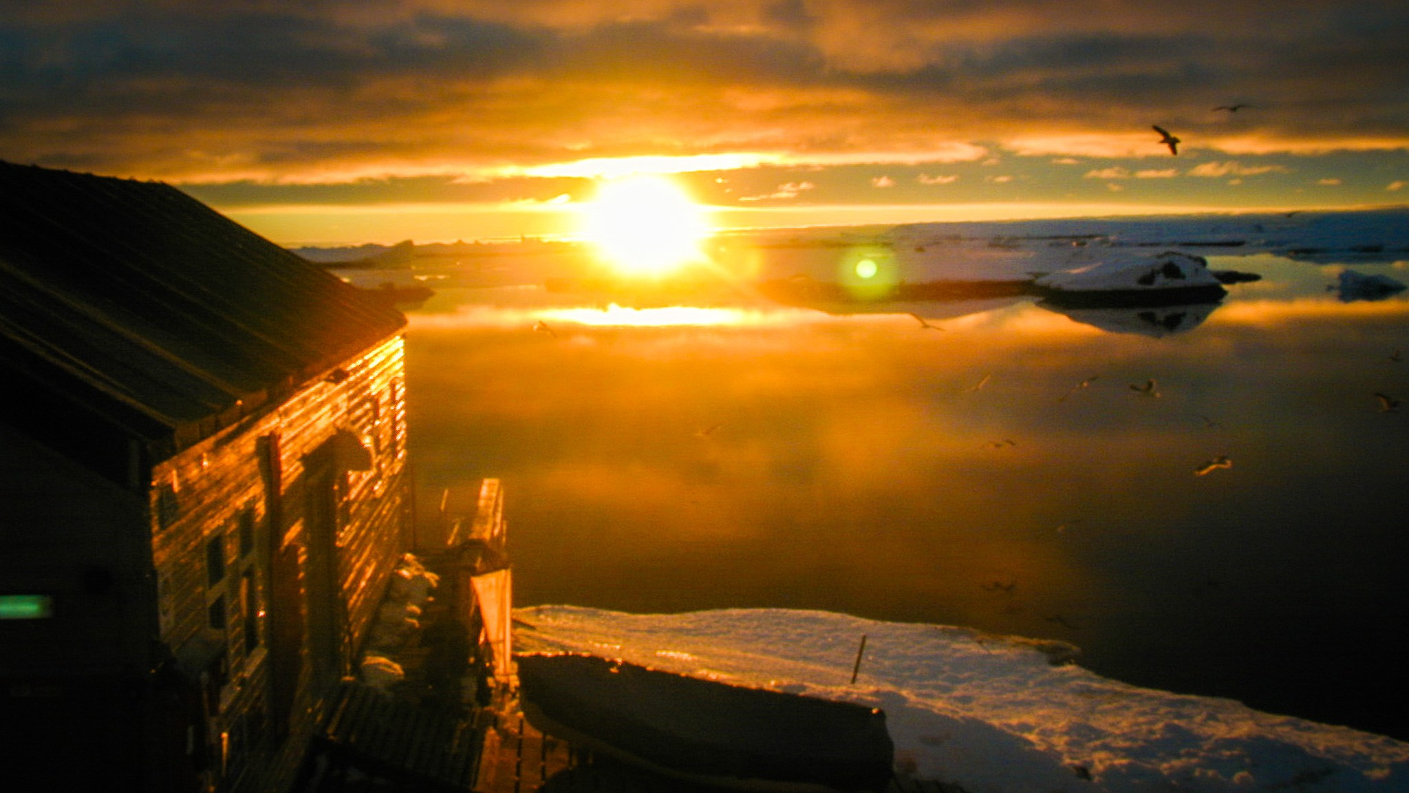 ANTARCTICA / 2004. Reportage concert portrait photography in the San Francisco Bay Area