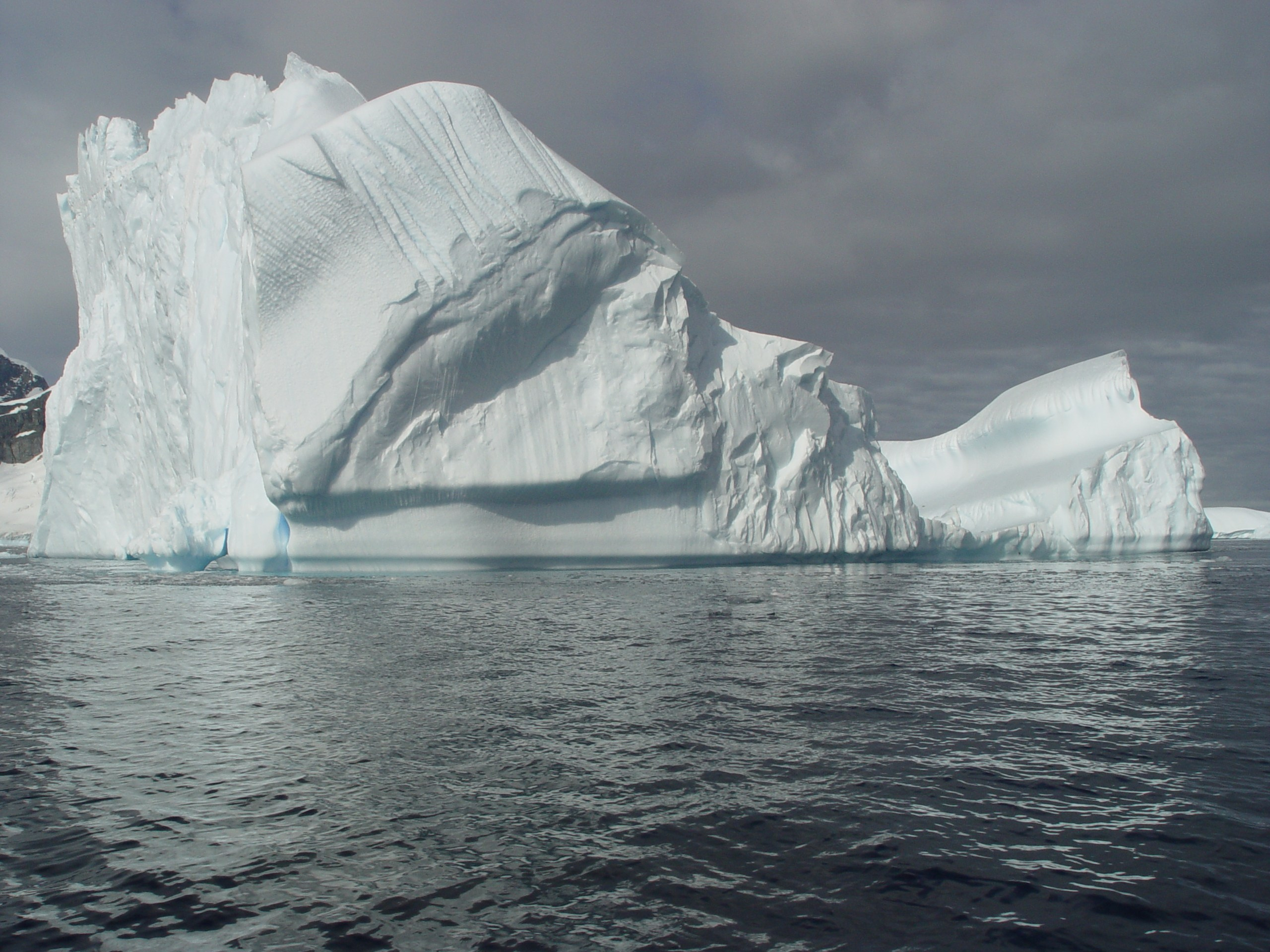 ANTARCTICA. Reportage concert portrait photography in the San Francisco Bay Area