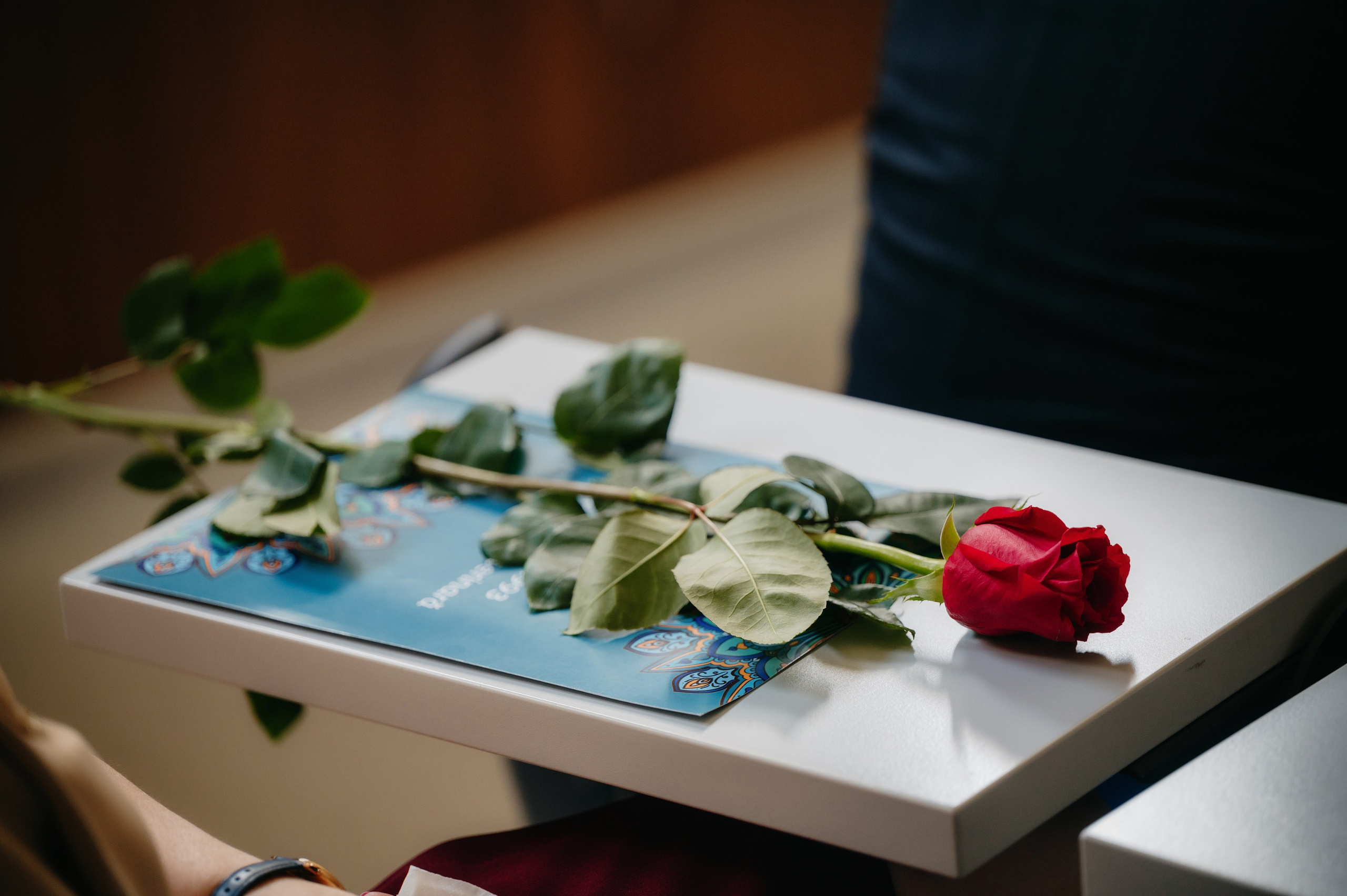 Medicina Veterinara — dupa 30 de ani…. Laurentiu Stefan StoryTeller